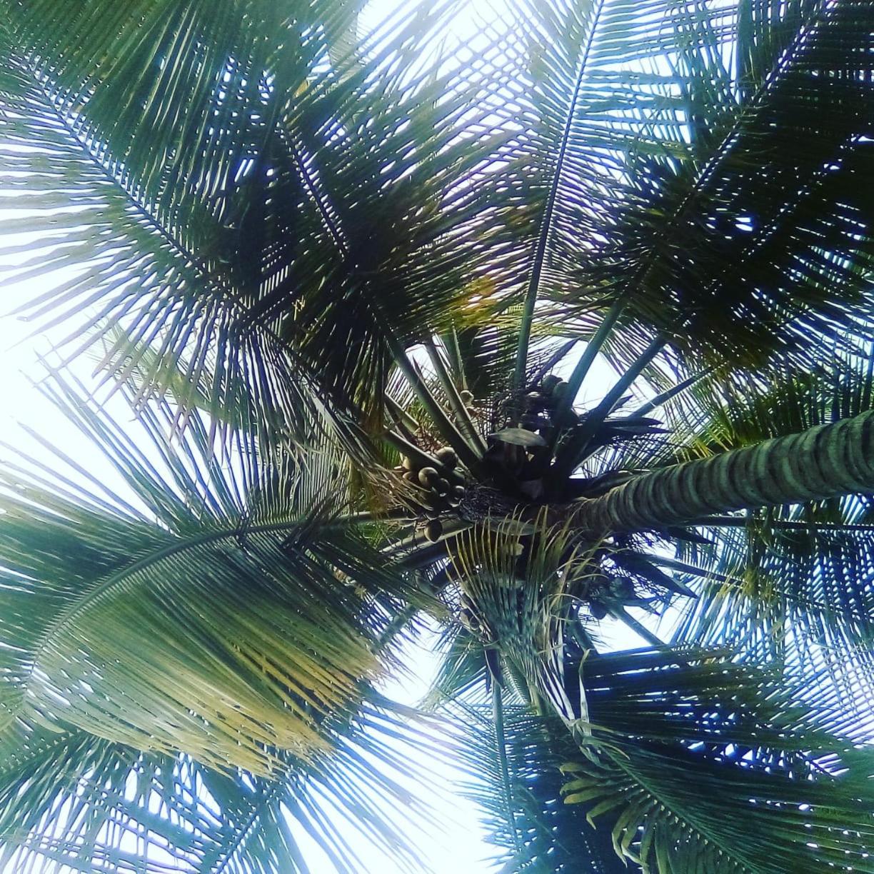 Hospedaje Eden
