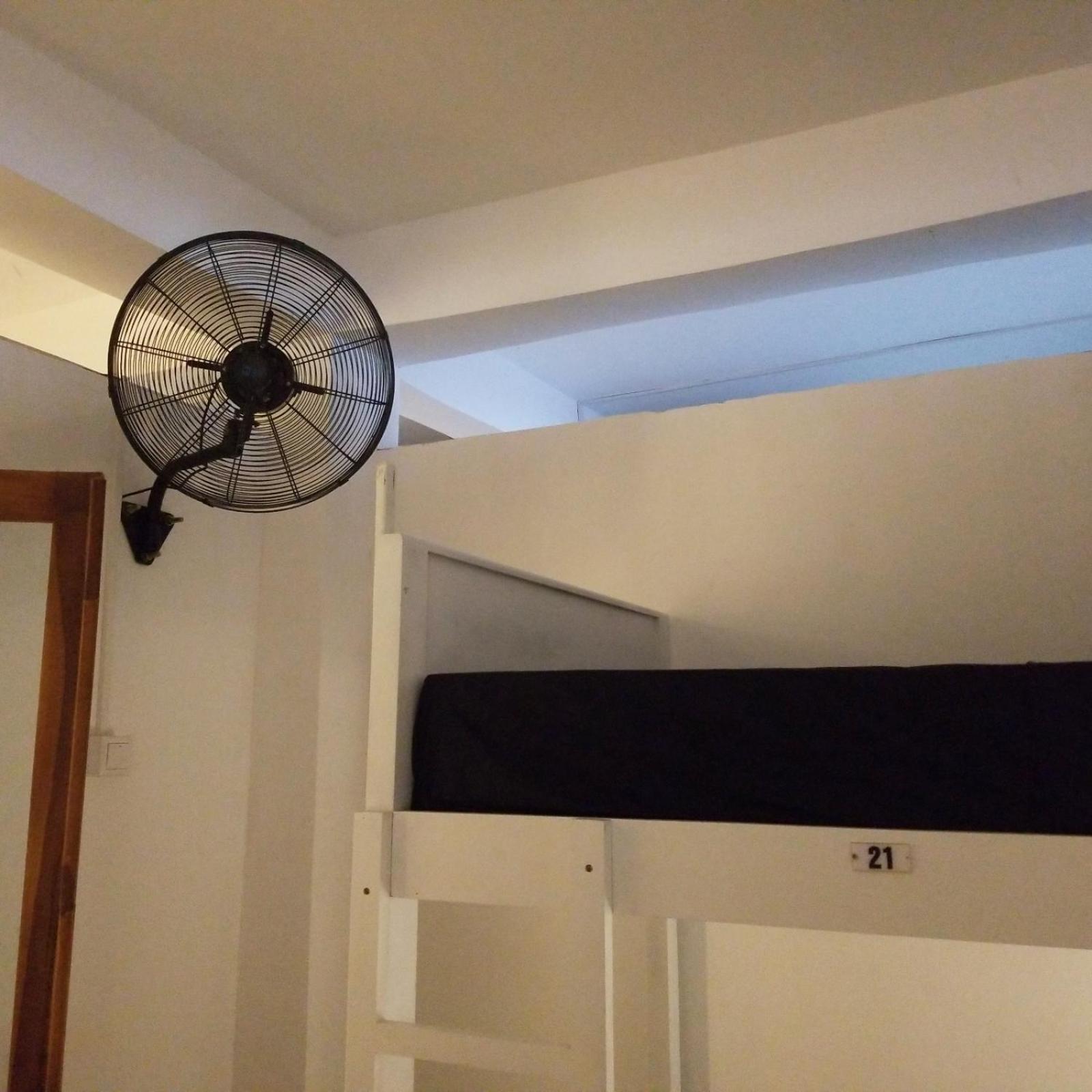 Photo 46