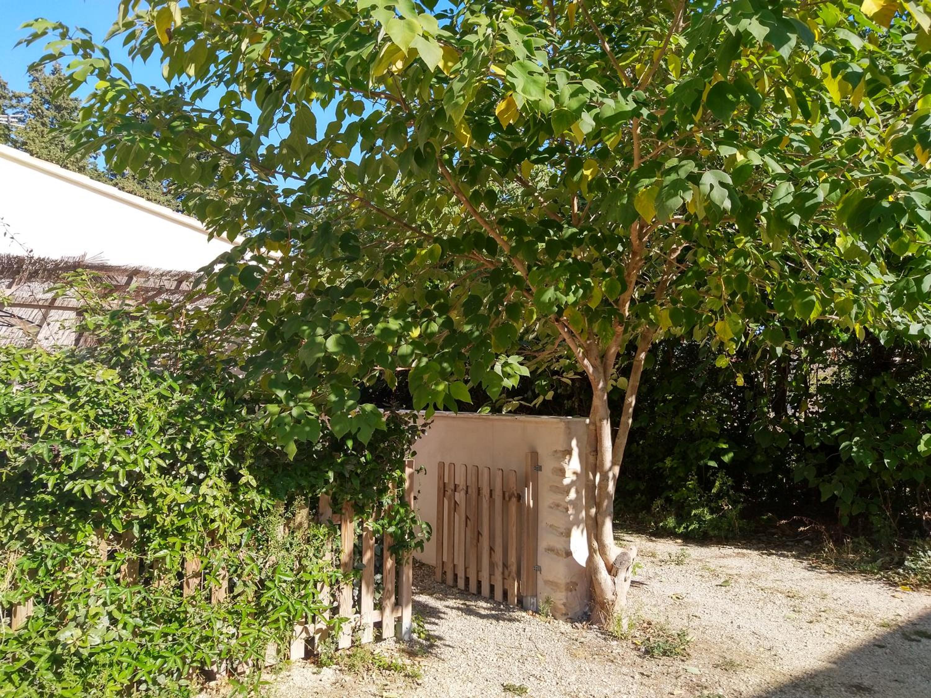 Photo 9