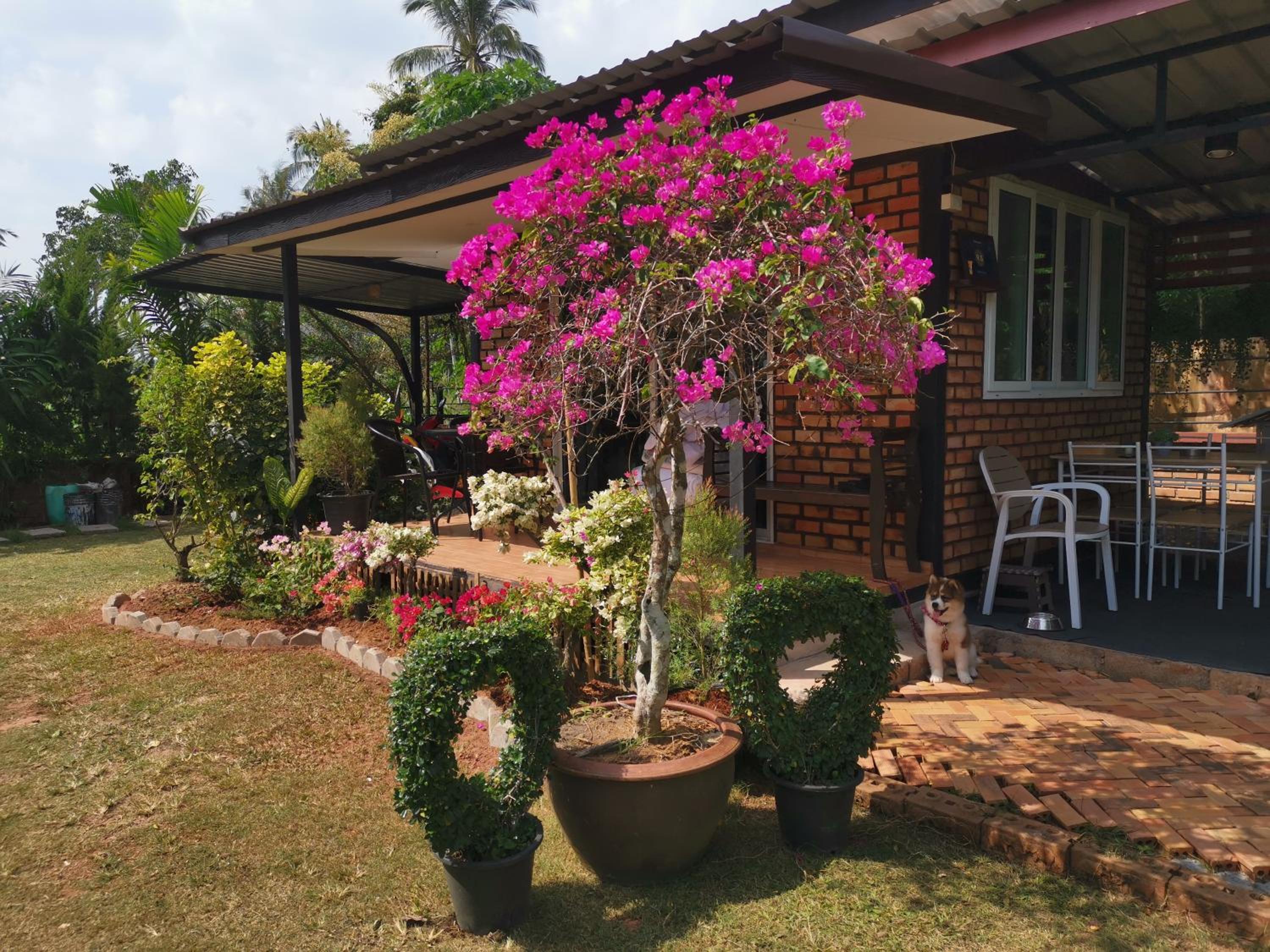 Krabilife Resort