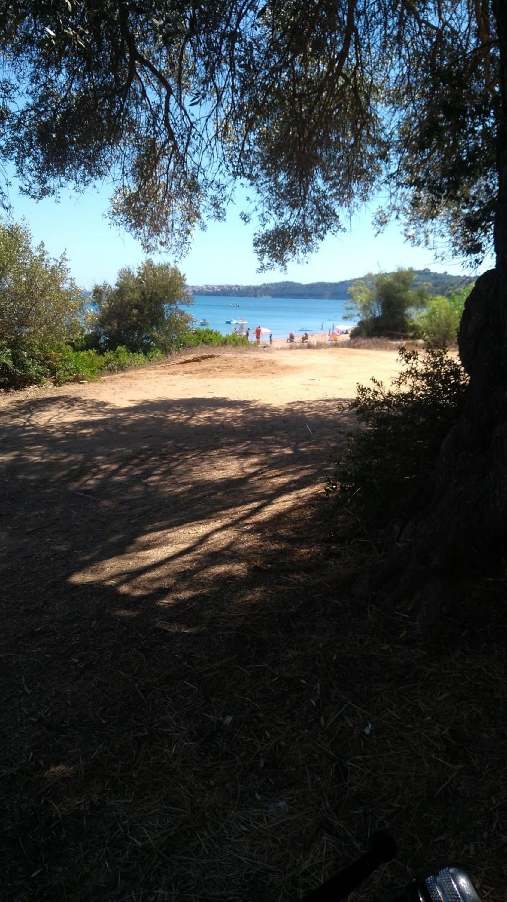 Photo 23