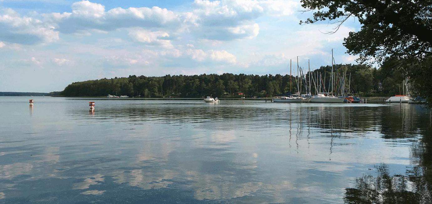 Villa Seeblick Bad Saarow view 5