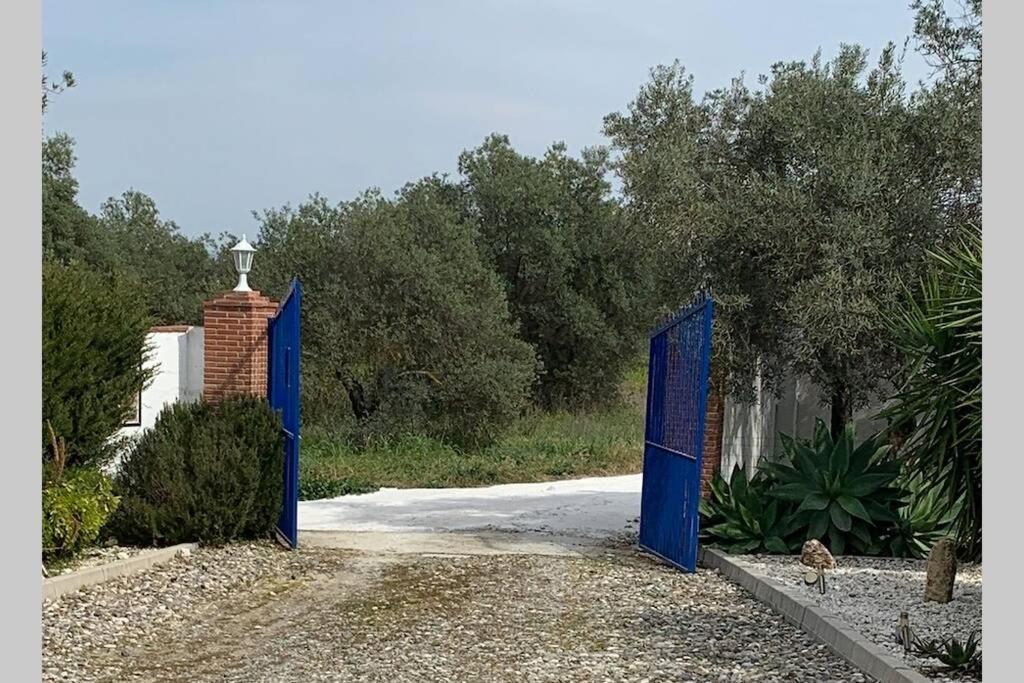 Photo 26