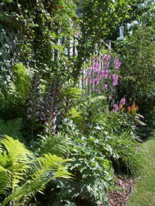 Antique Slumber Old Town Bed  Breakfast - Property Image 12