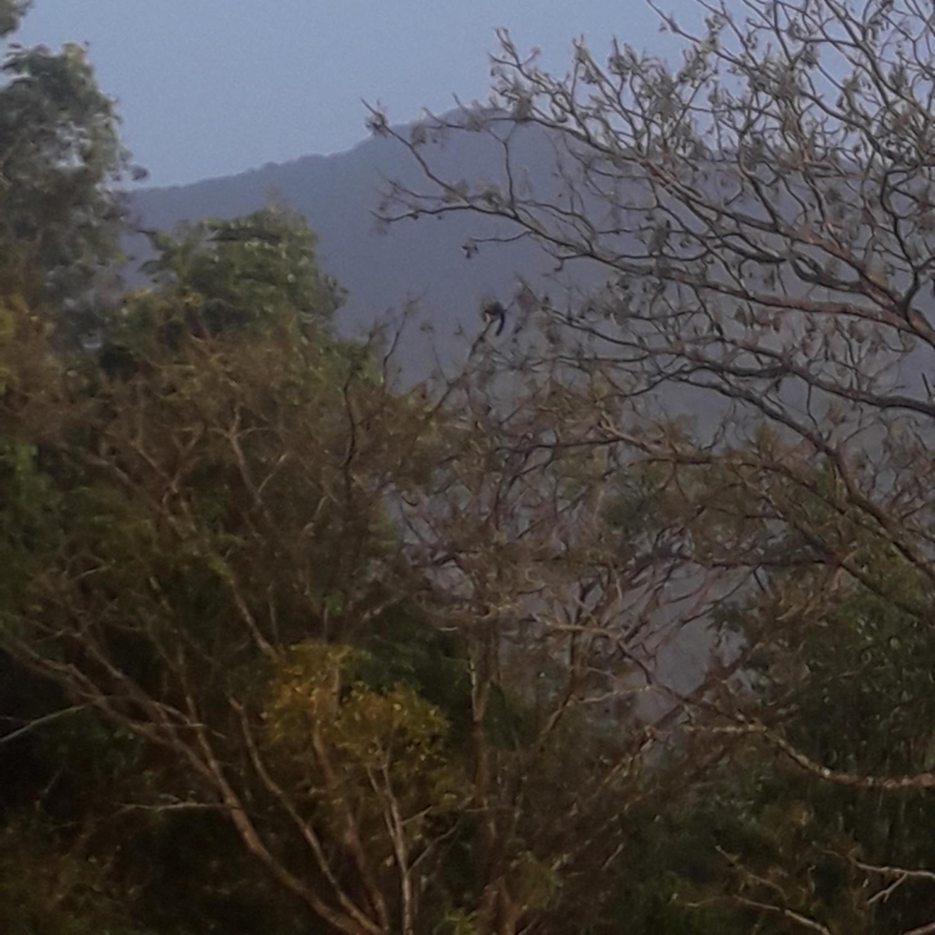 Wayanad Snow Vibes view 4