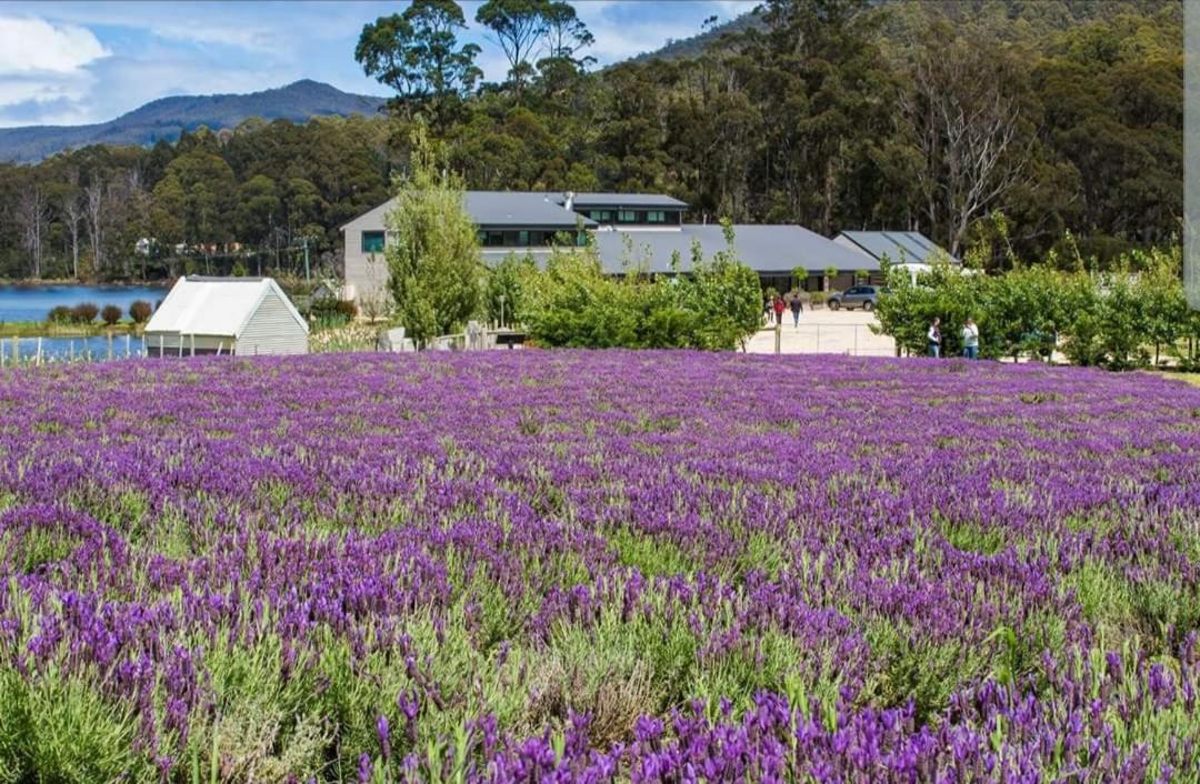 Ruby's Cottage Farm Stay