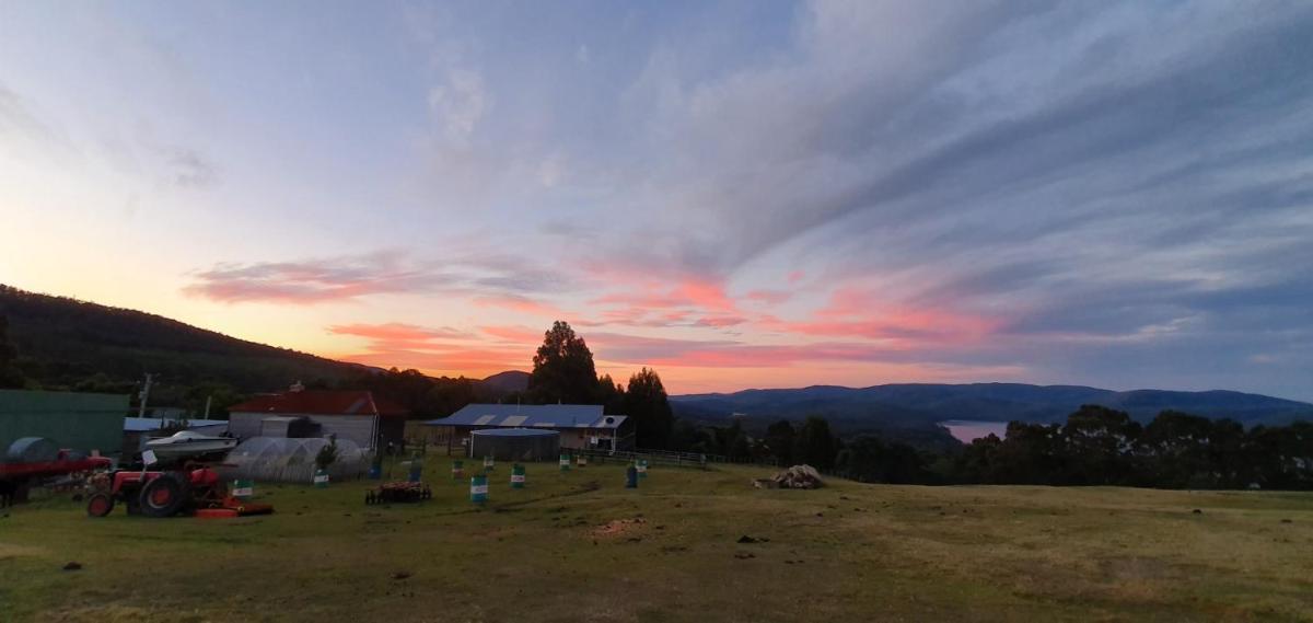 Ruby's Cottage Farm Stay