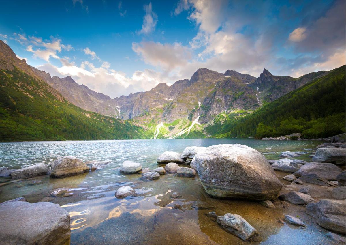 SKI & HIKE ZAKOPANE Apartments view 5