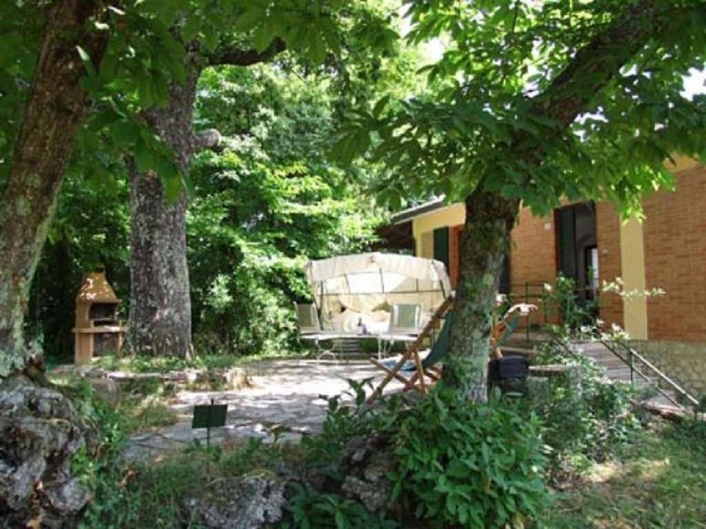 Villa La Quercia-Dalia photo 4