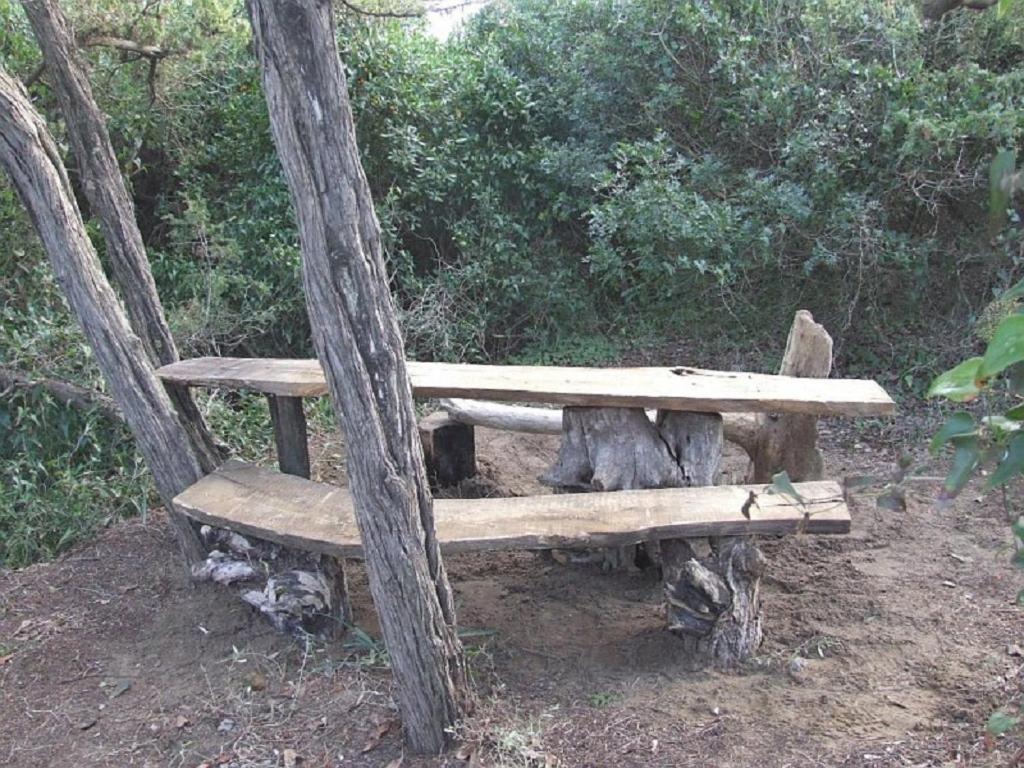 Villa La Quercia-Fresia photo 2