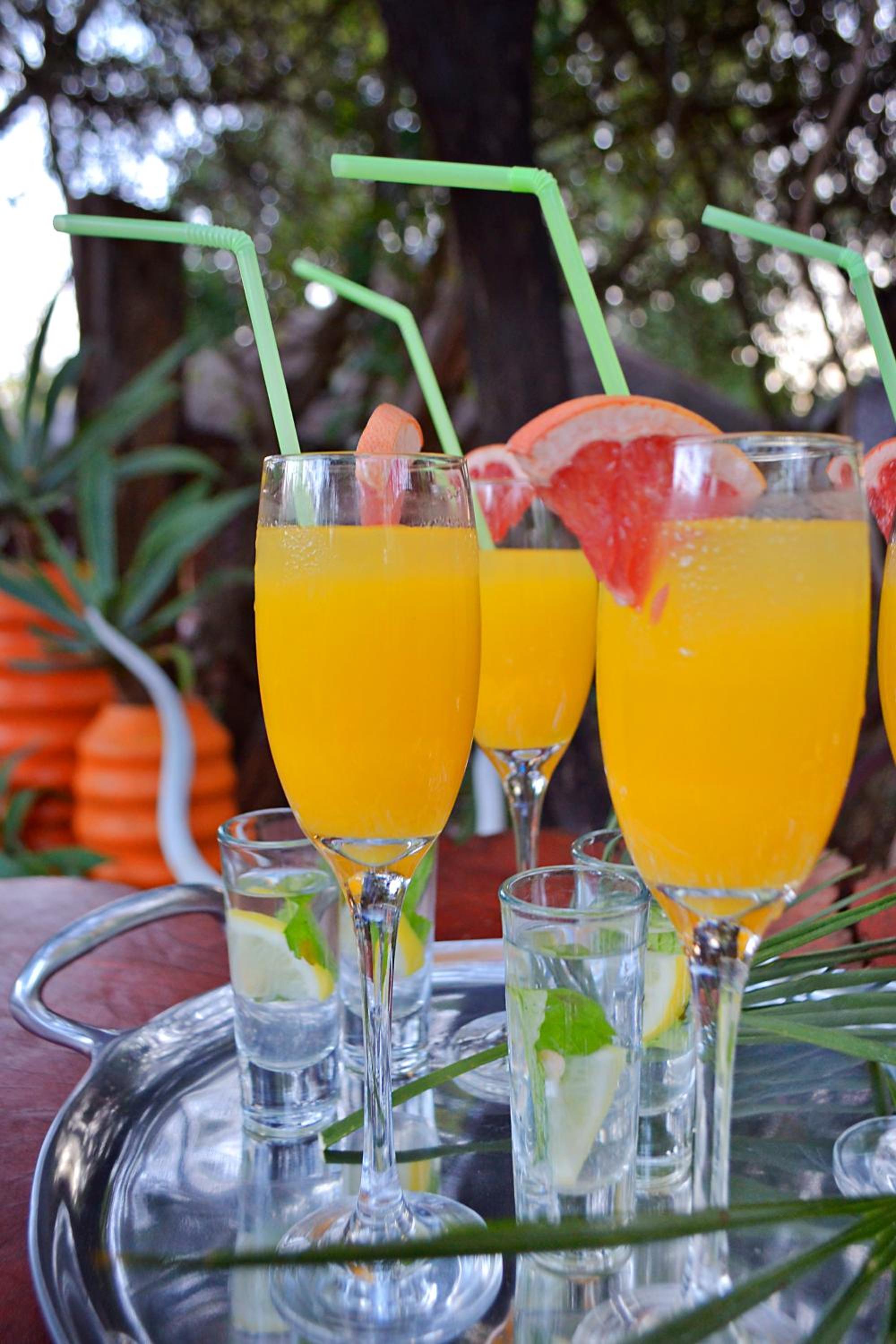 Wielewaal Bush Lodge