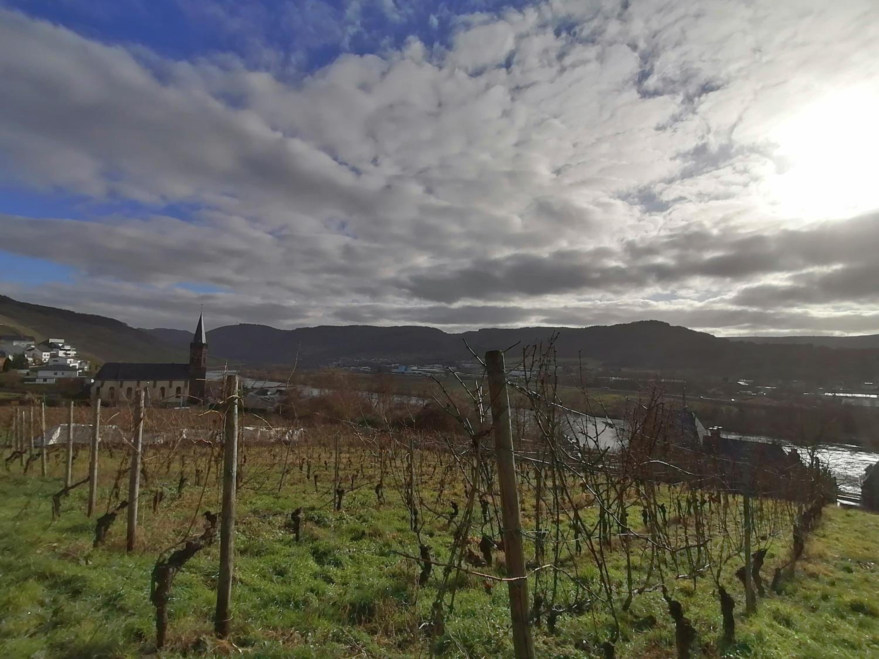 Weingut Schumann