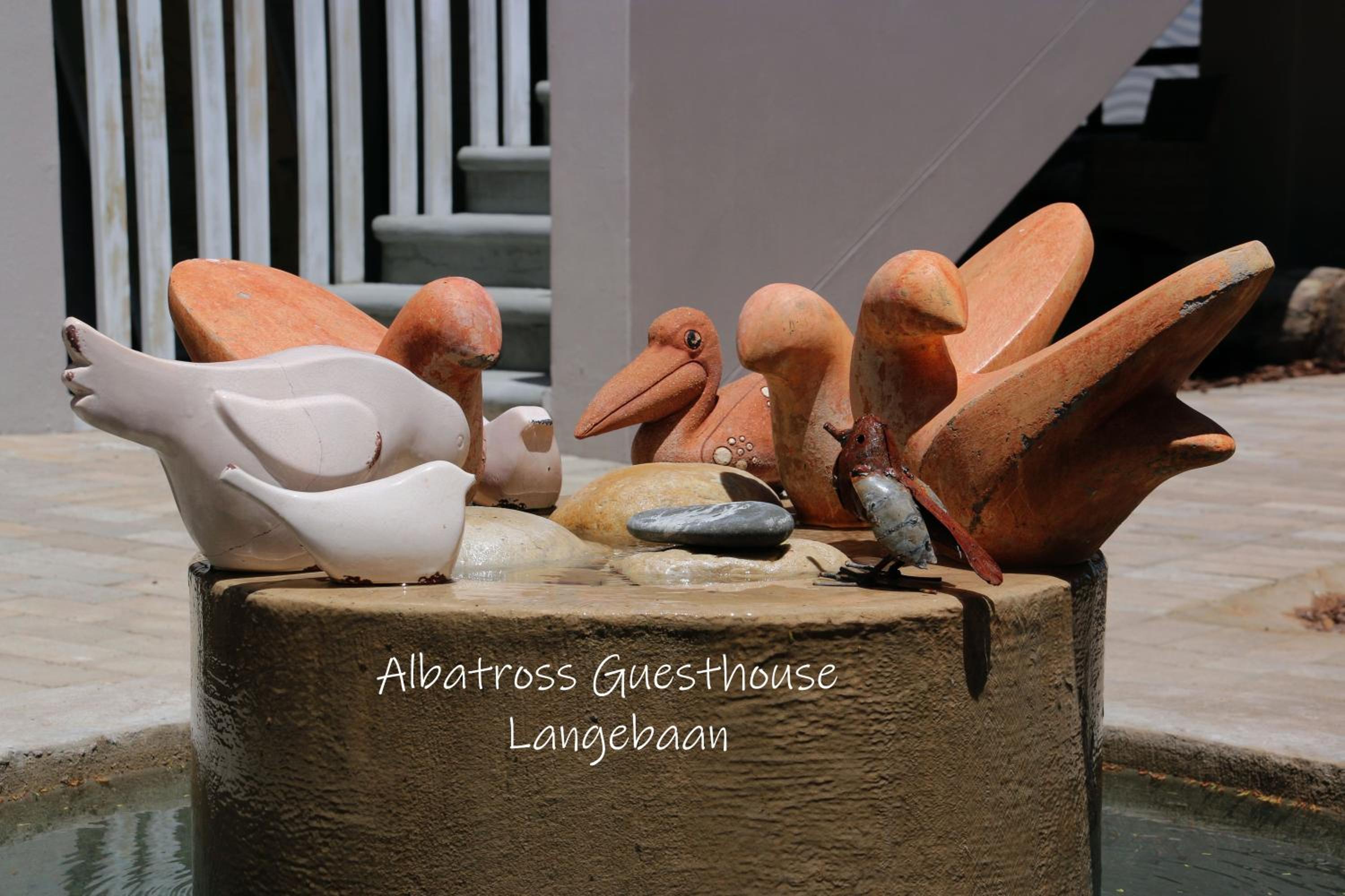 Albatross Guesthouse