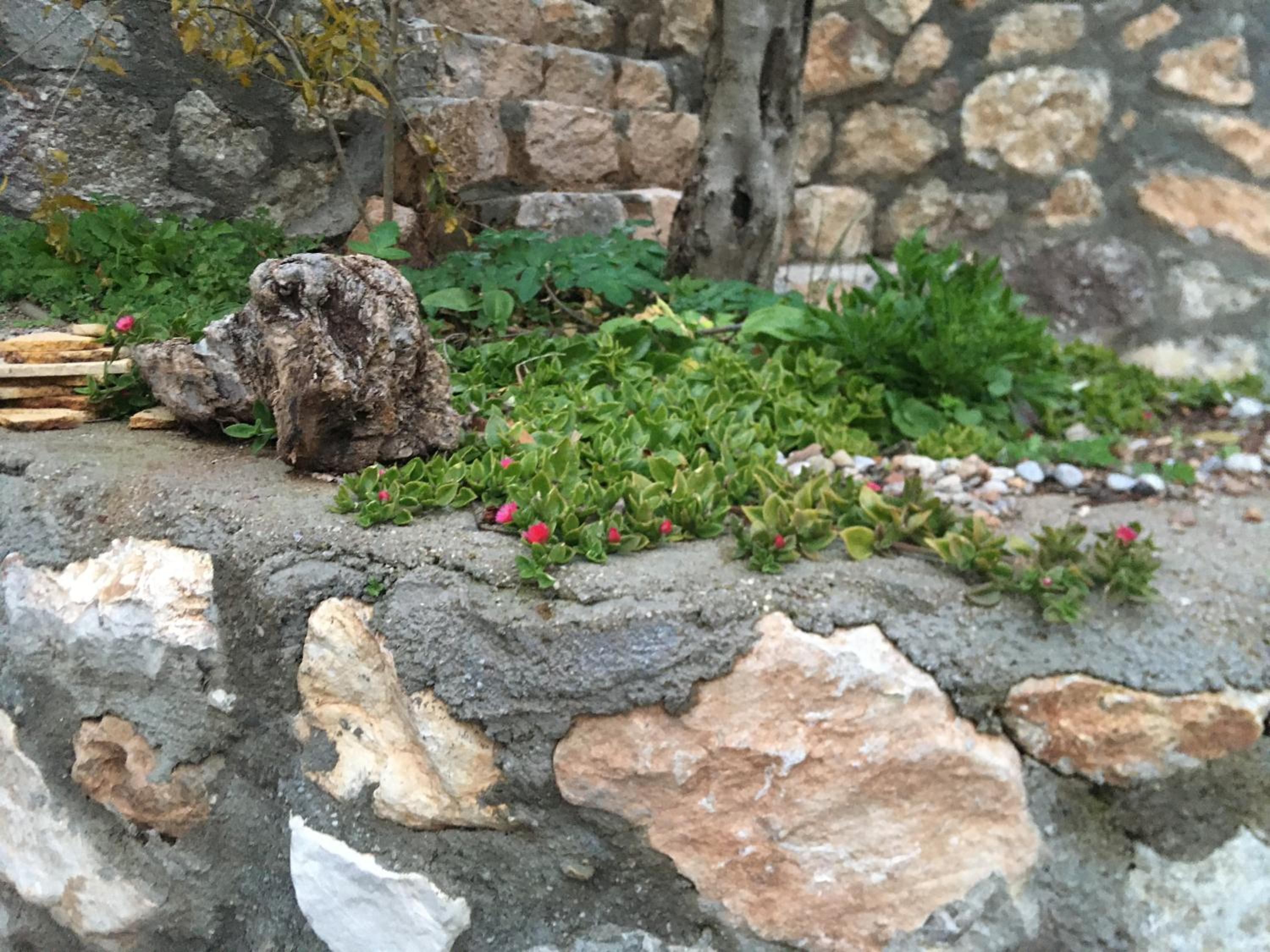 Villa Alemdaroğlu Secret Garden
