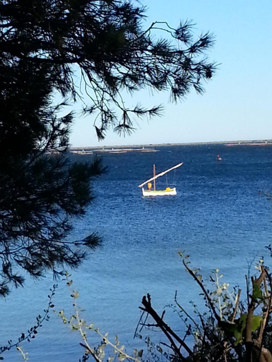 Au bord de Thau photo 5