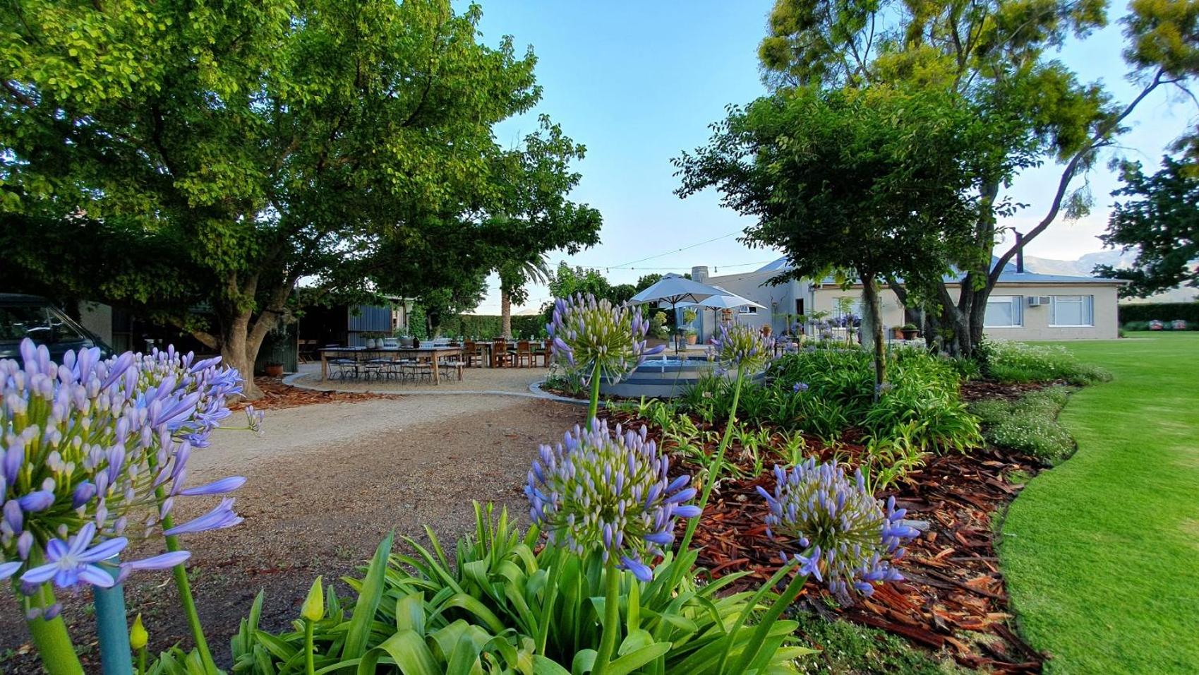 PicardiPlace view 2