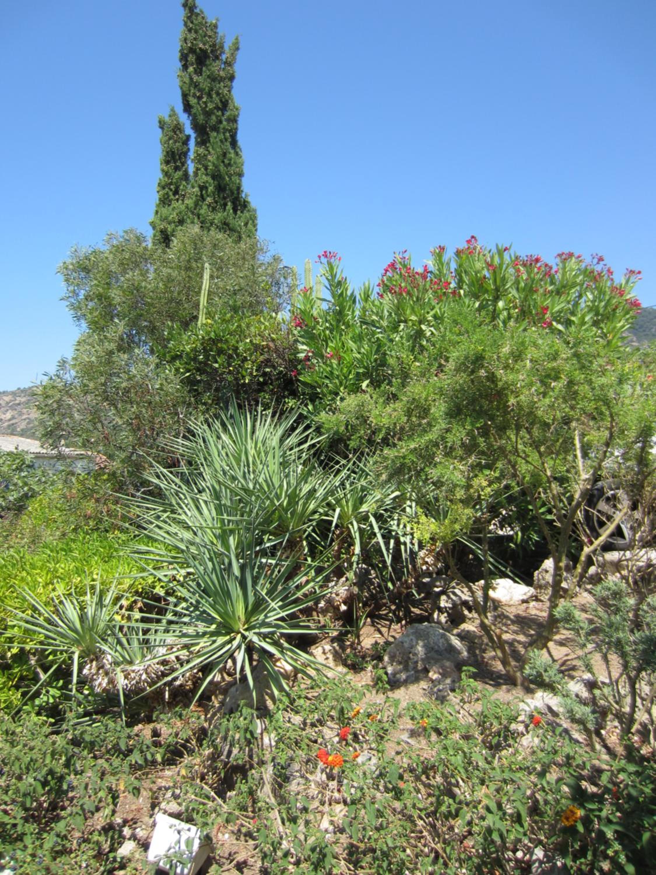 Photo 32