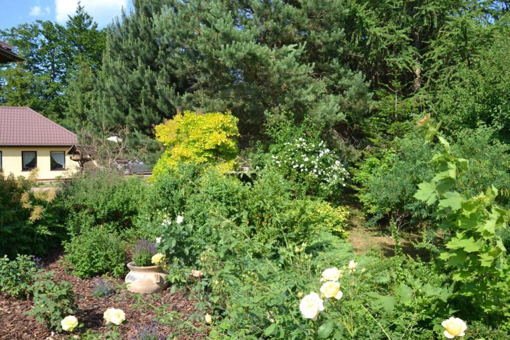 Photo 24