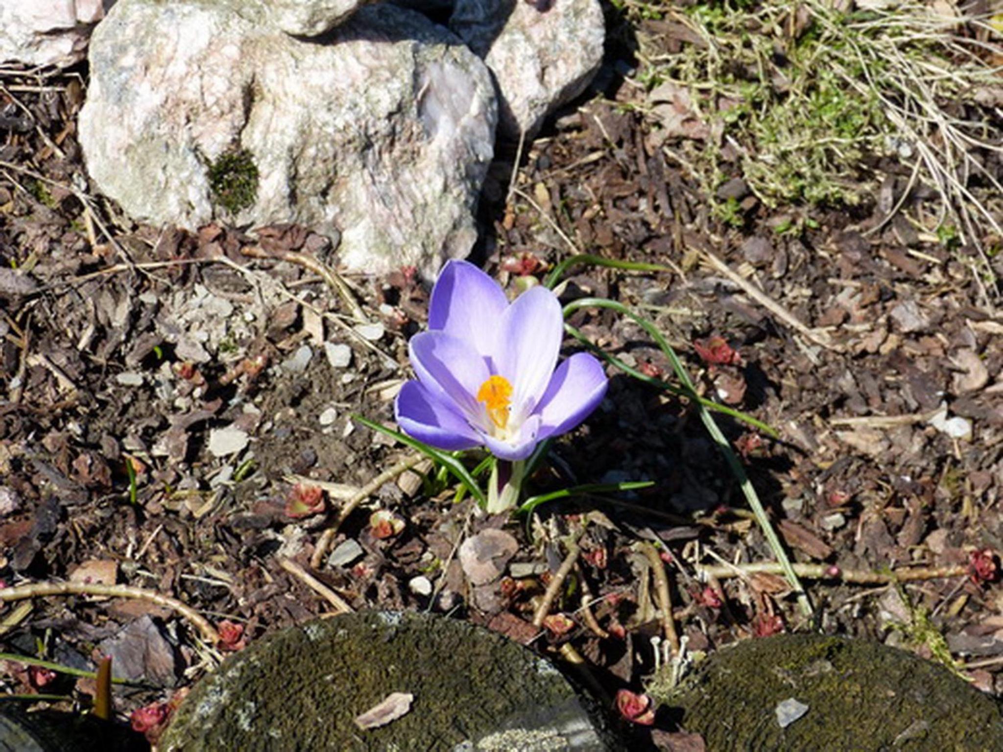 Photo 18