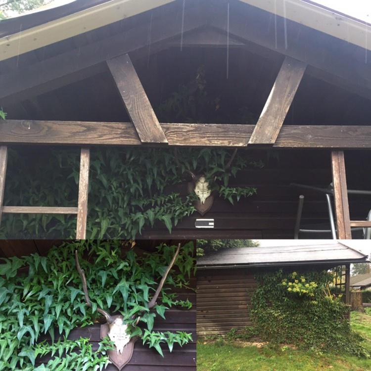 Ferienhaus Braunfels
