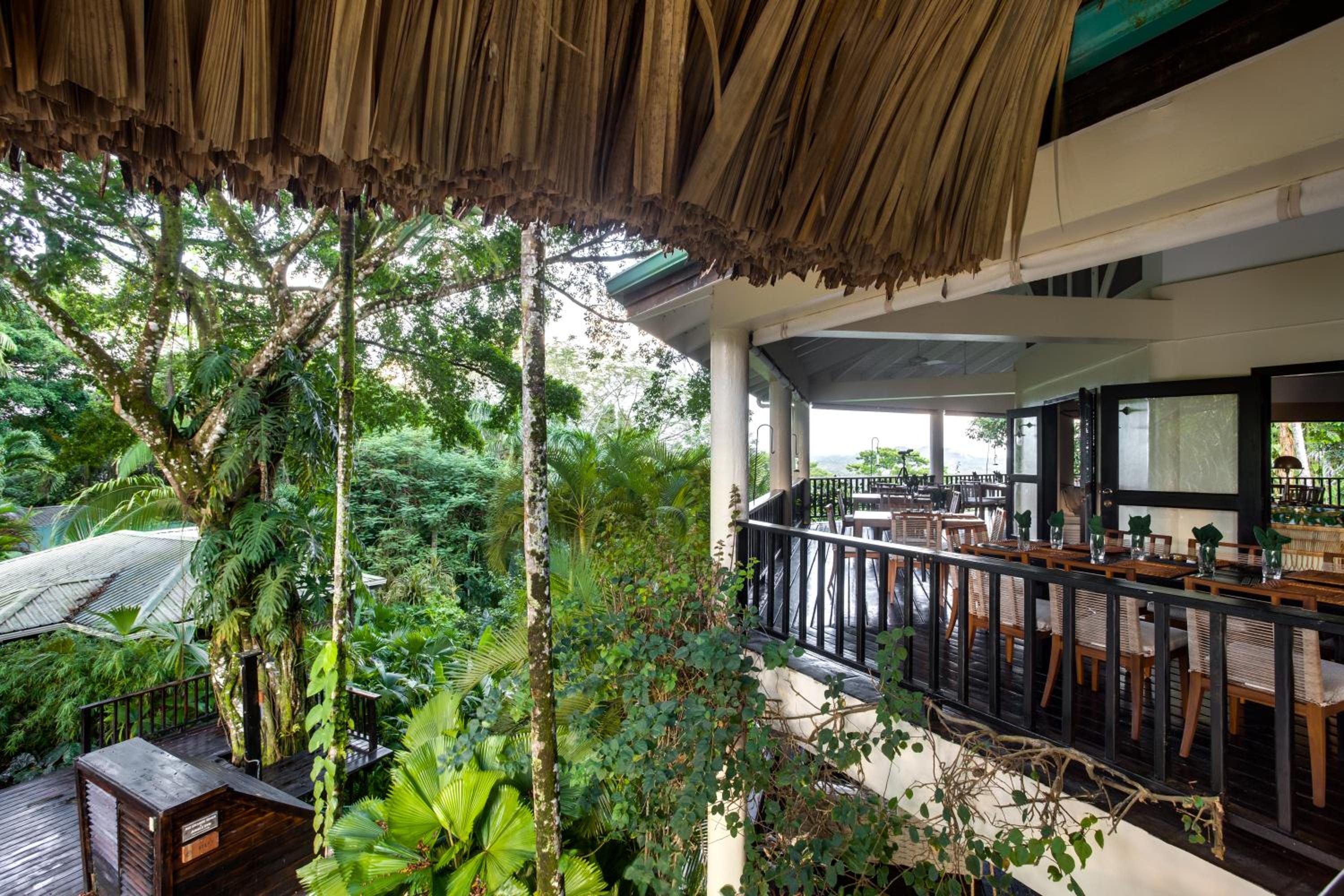 Copal Tree Lodge a Muy'Ono Resort