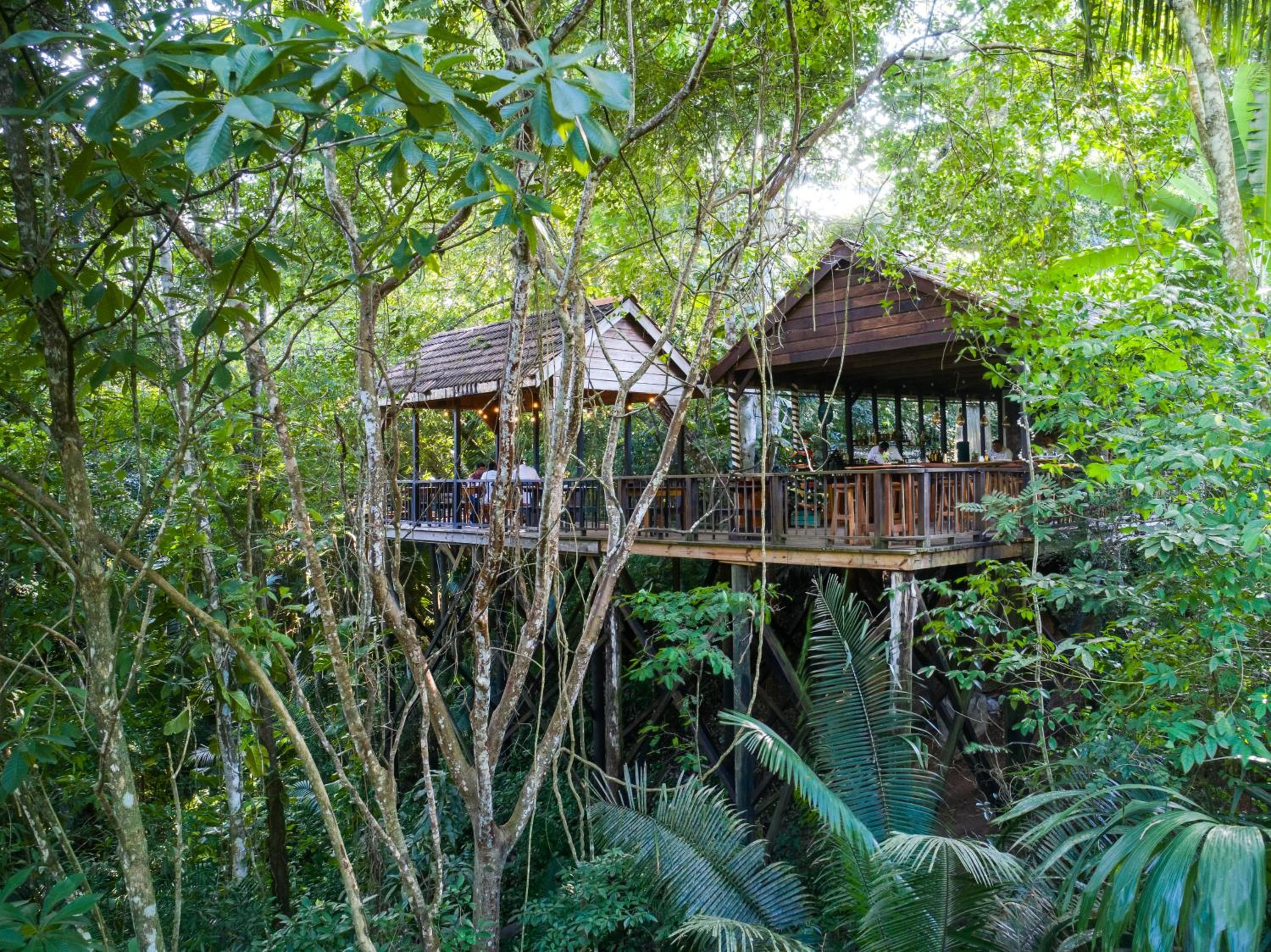 Sweet Songs Jungle Lodge