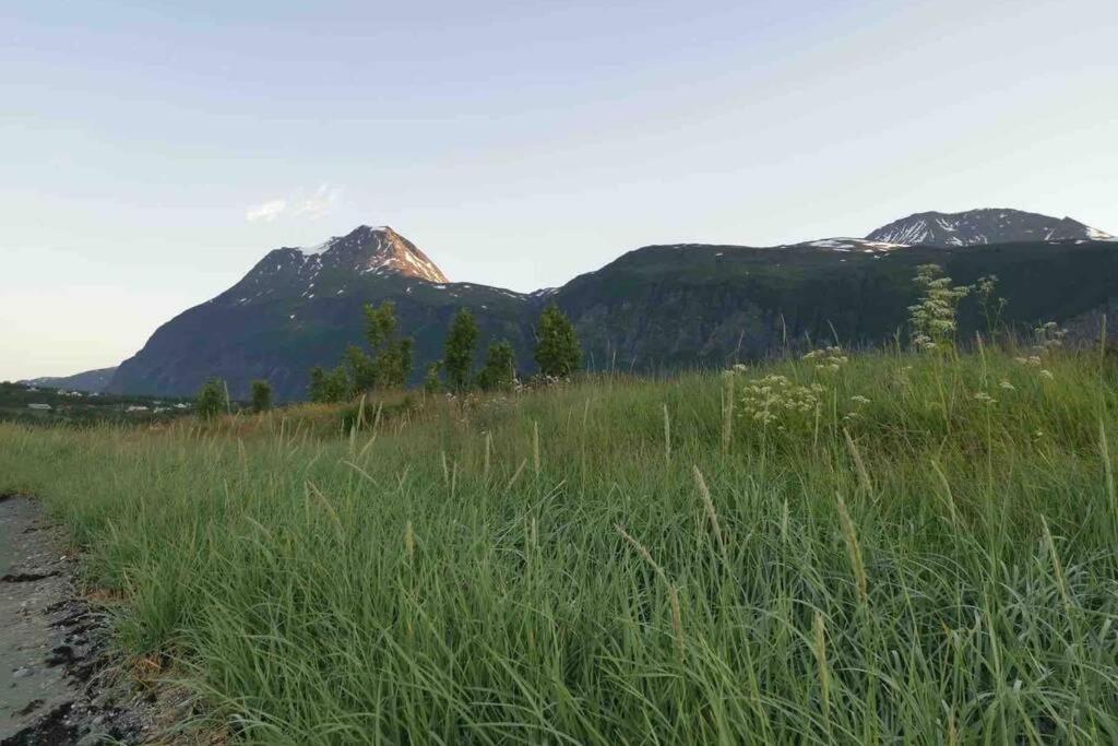 Photo 34