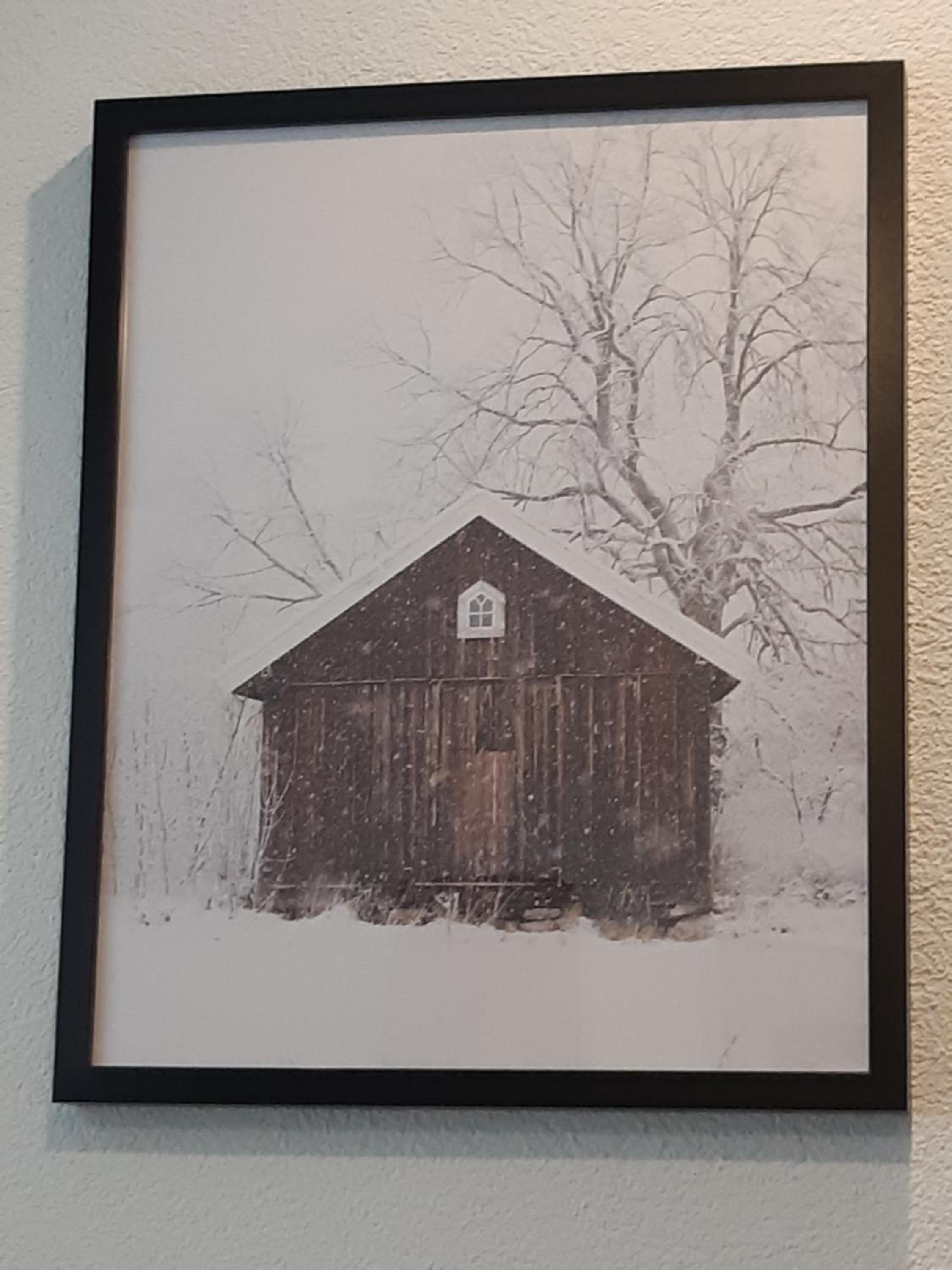 Photo 23