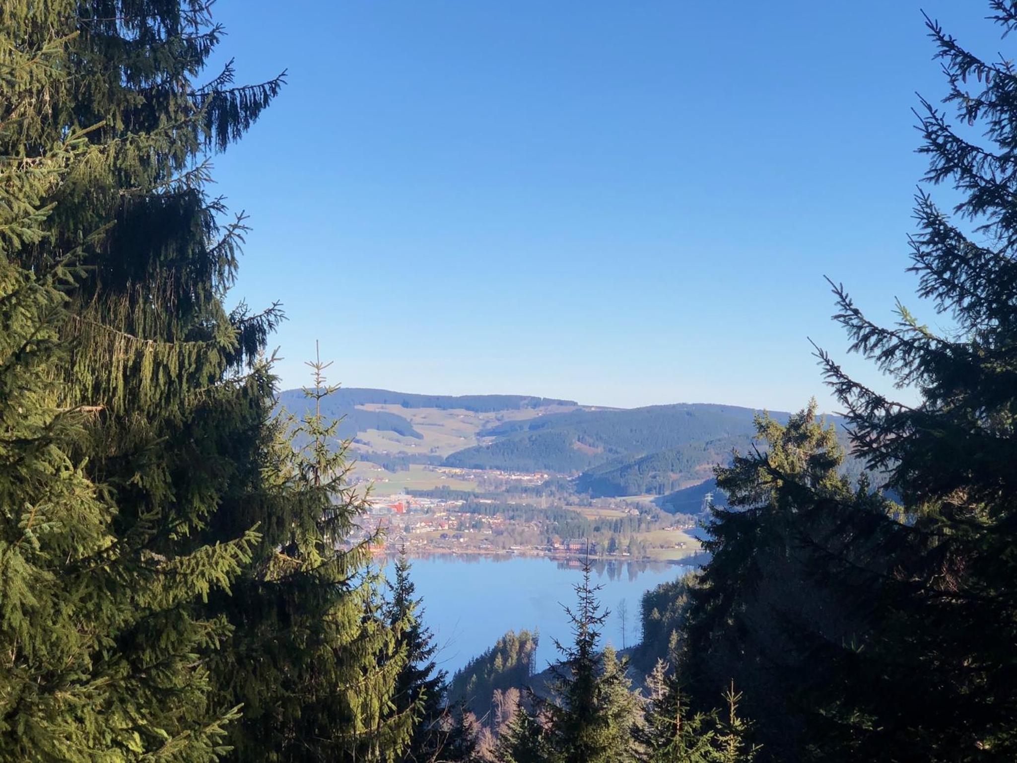 Schwarzwald-Villa mit Indoor-Pool
