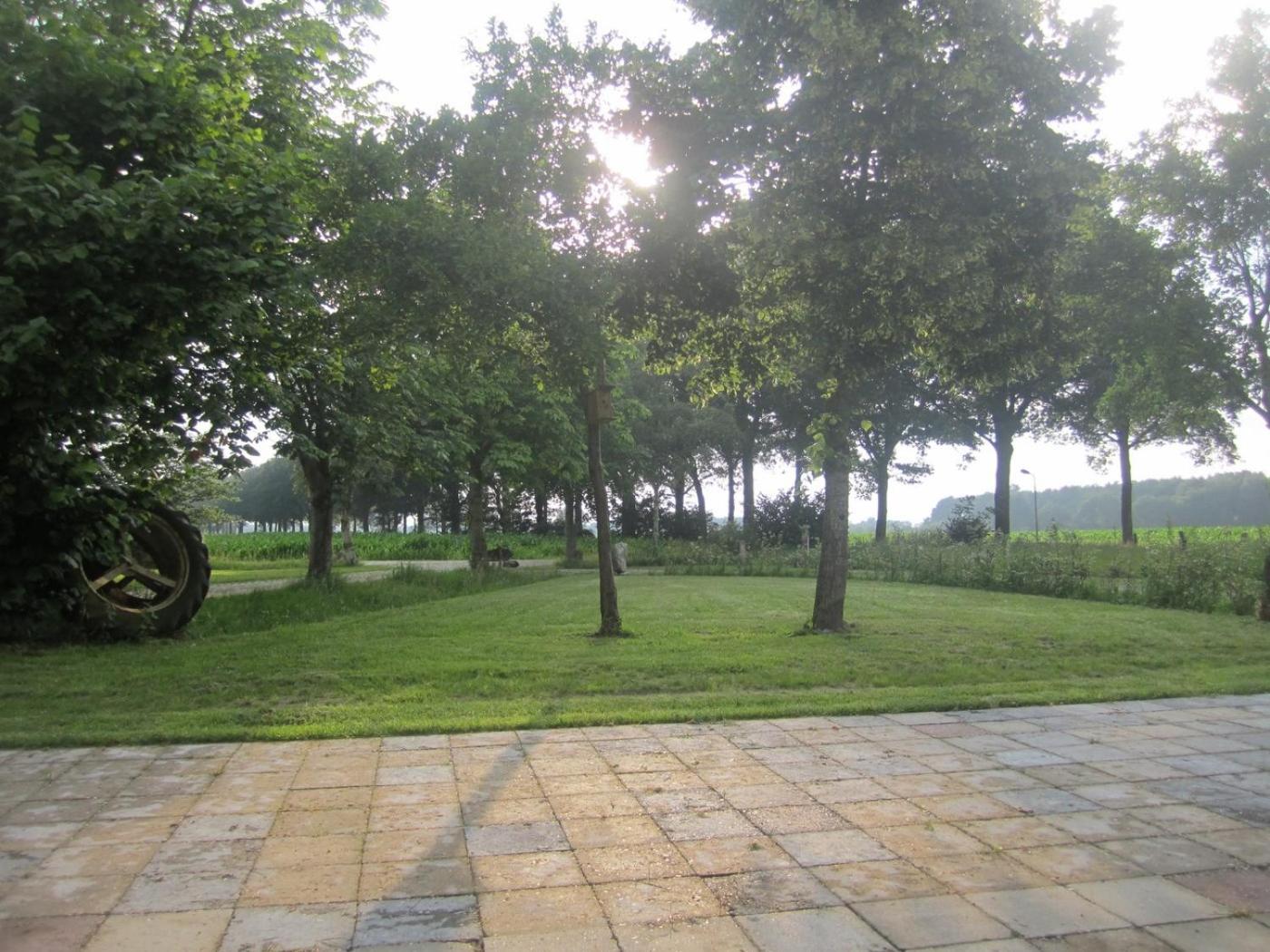 Photo 8