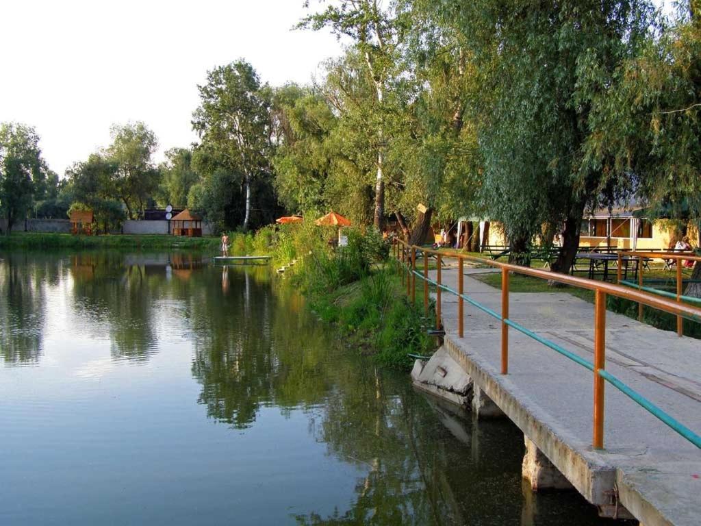 Photo 80