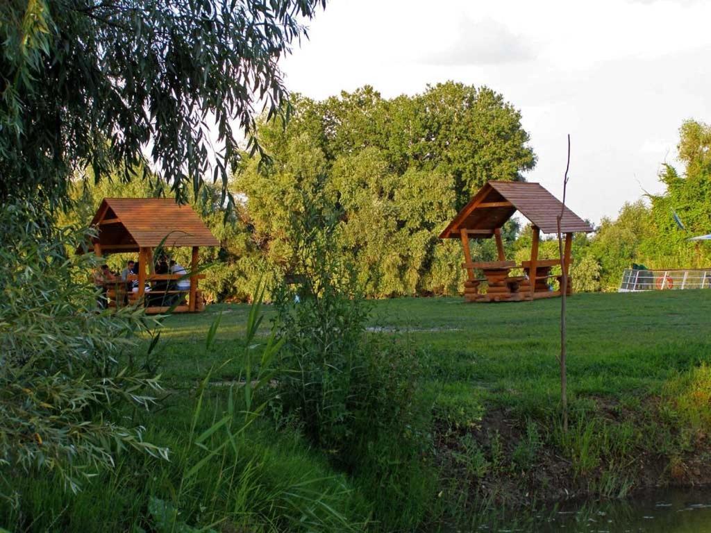 Photo 82