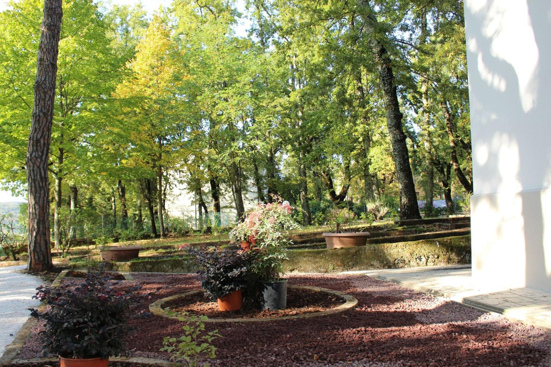 Photo 19