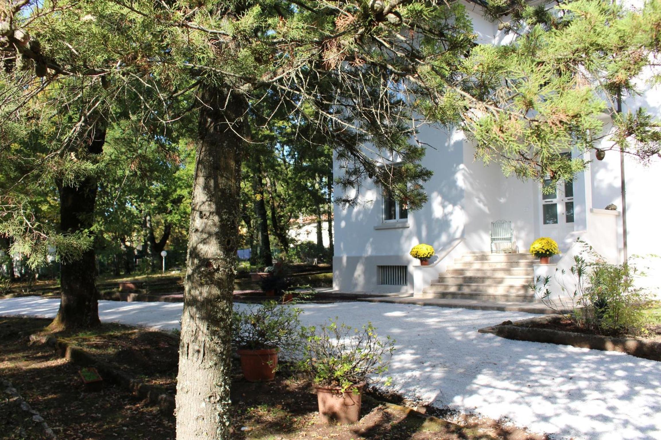 Photo 8