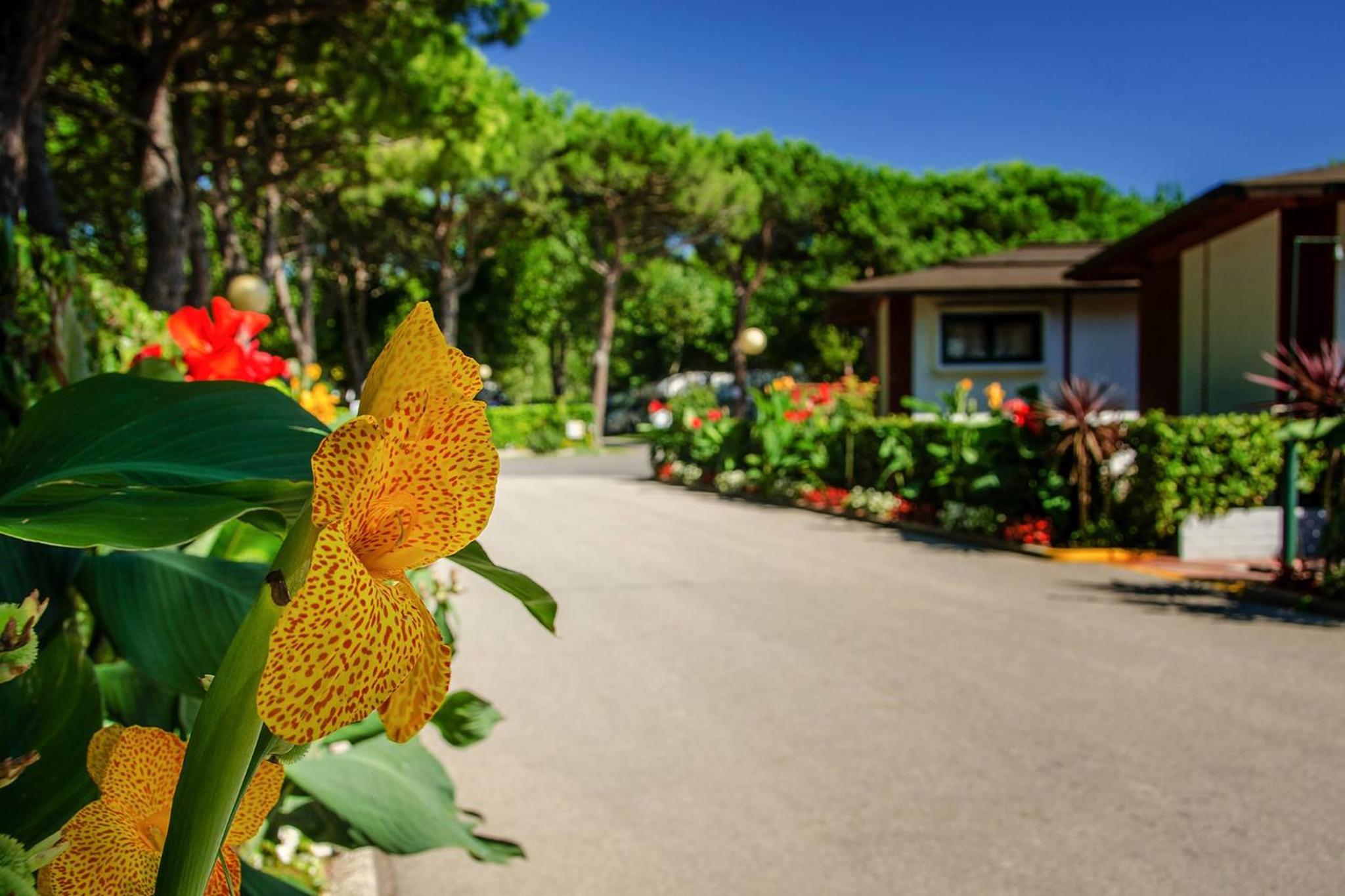 Camping Village Miramare, photo 32