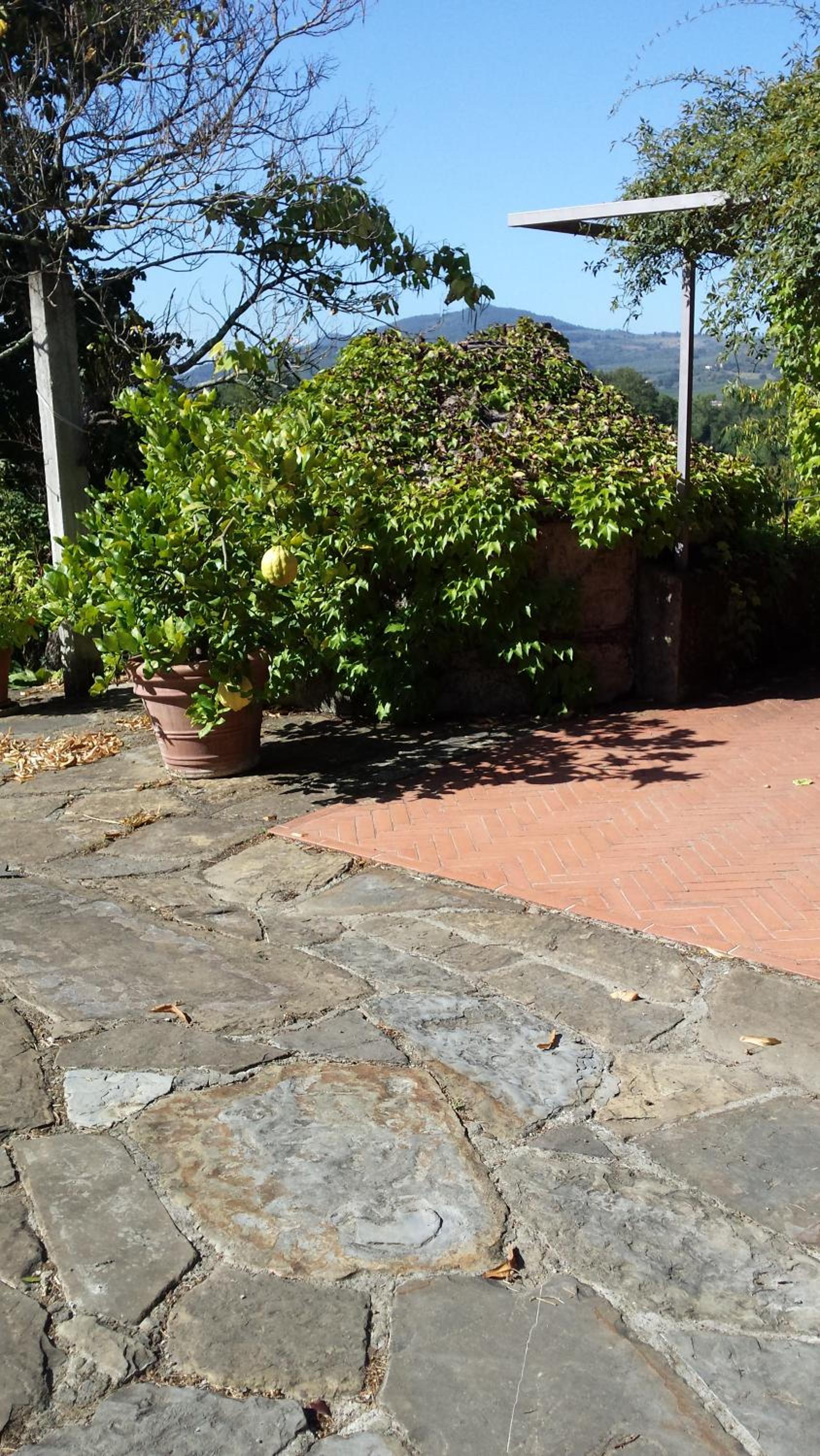 Photo 42