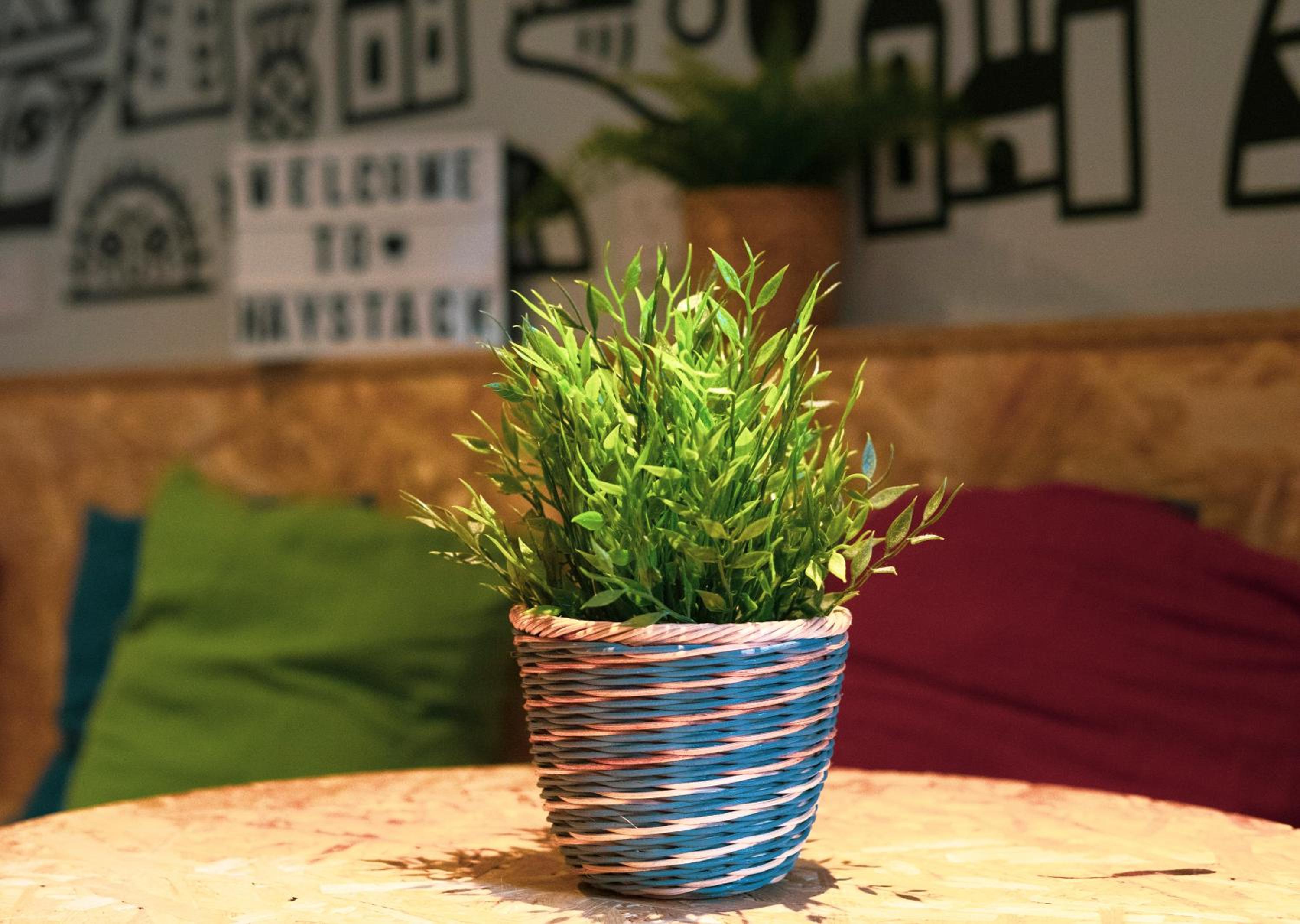 Haystack Hostel