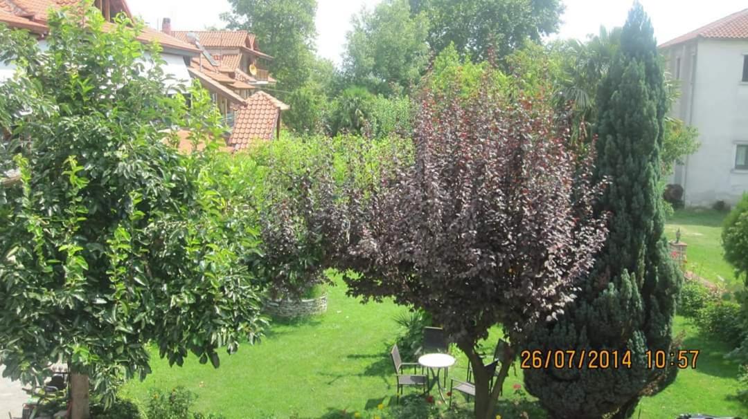 Photo 24