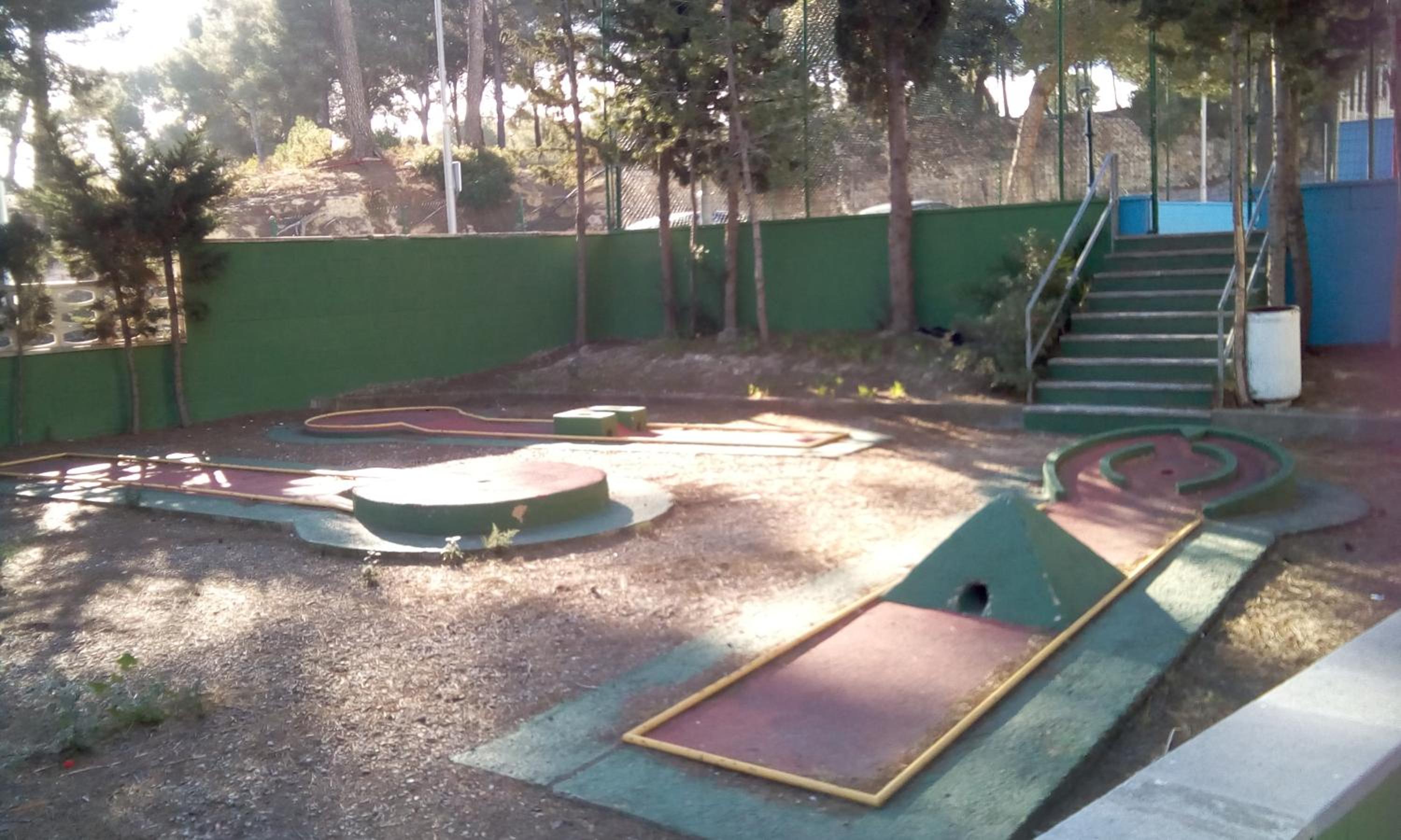 Photo 12