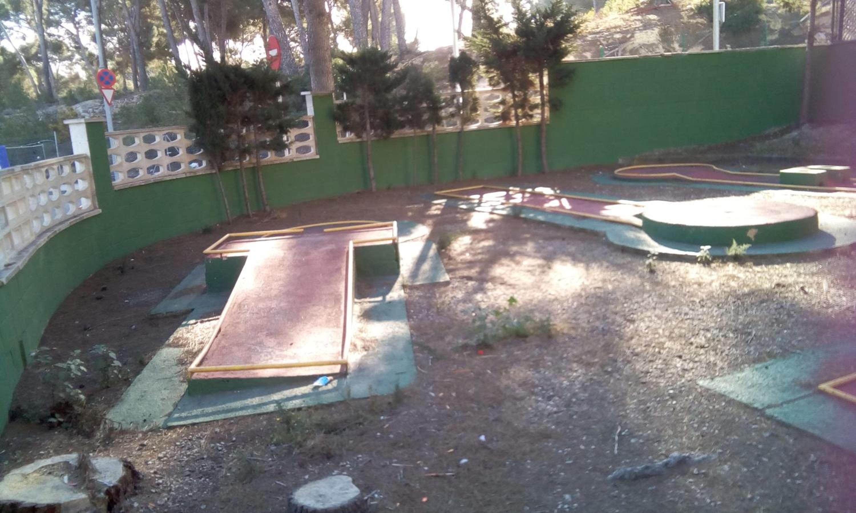 Photo 11