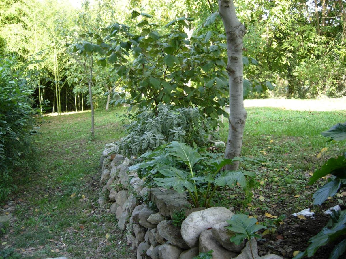 Dimora dei Baccoli view 4