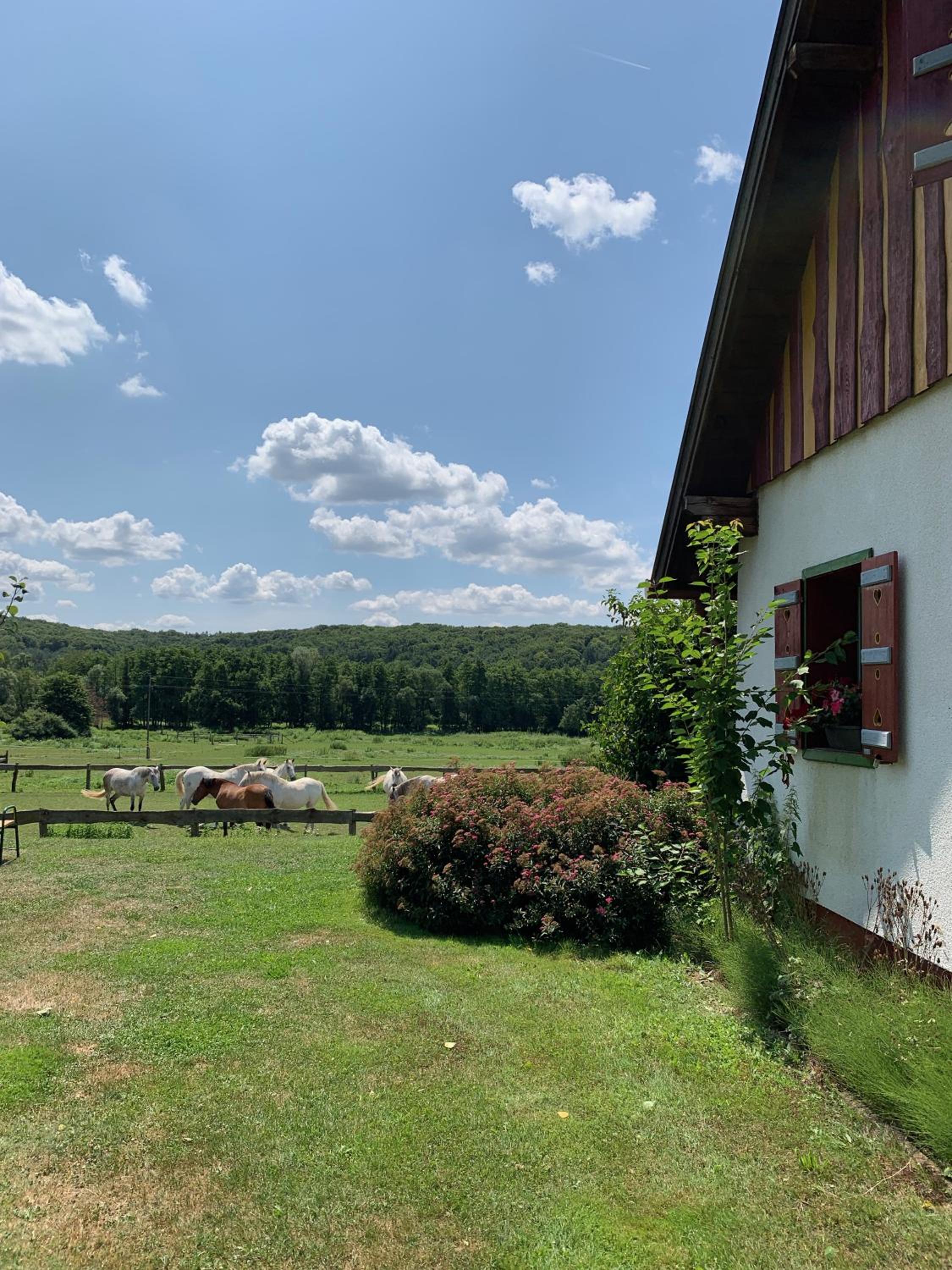 Kerca Bio Farm