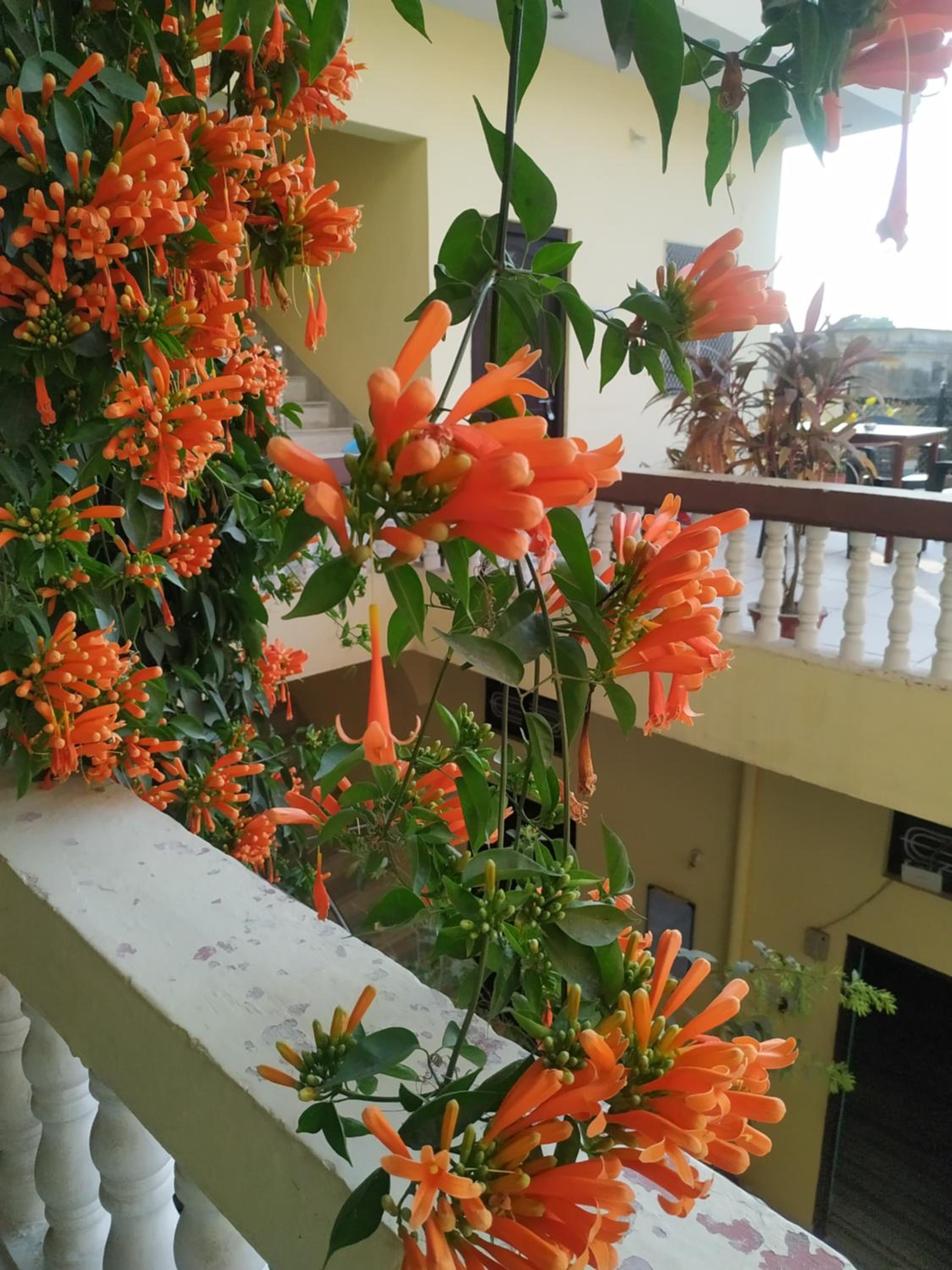 Keshav Palace view 2