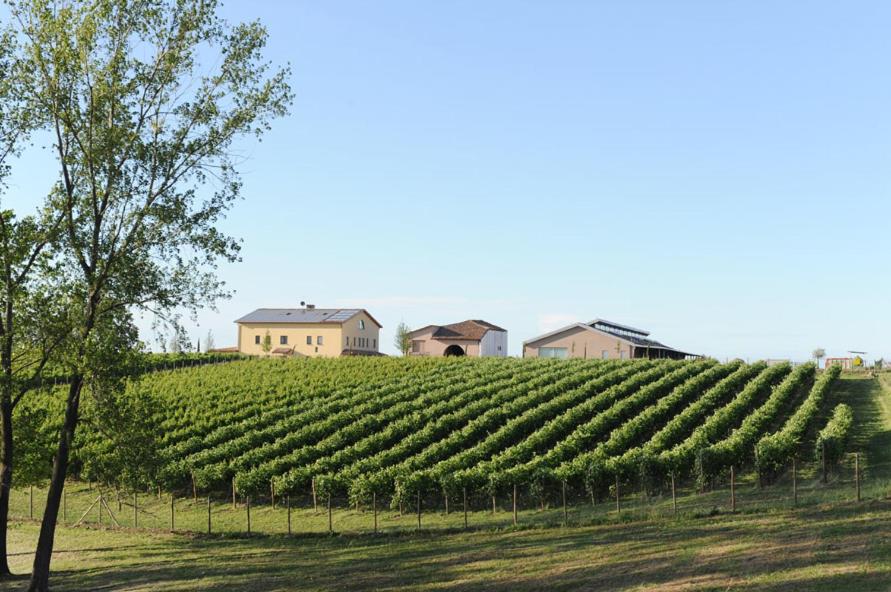 Pianderna Agriwellness view 3