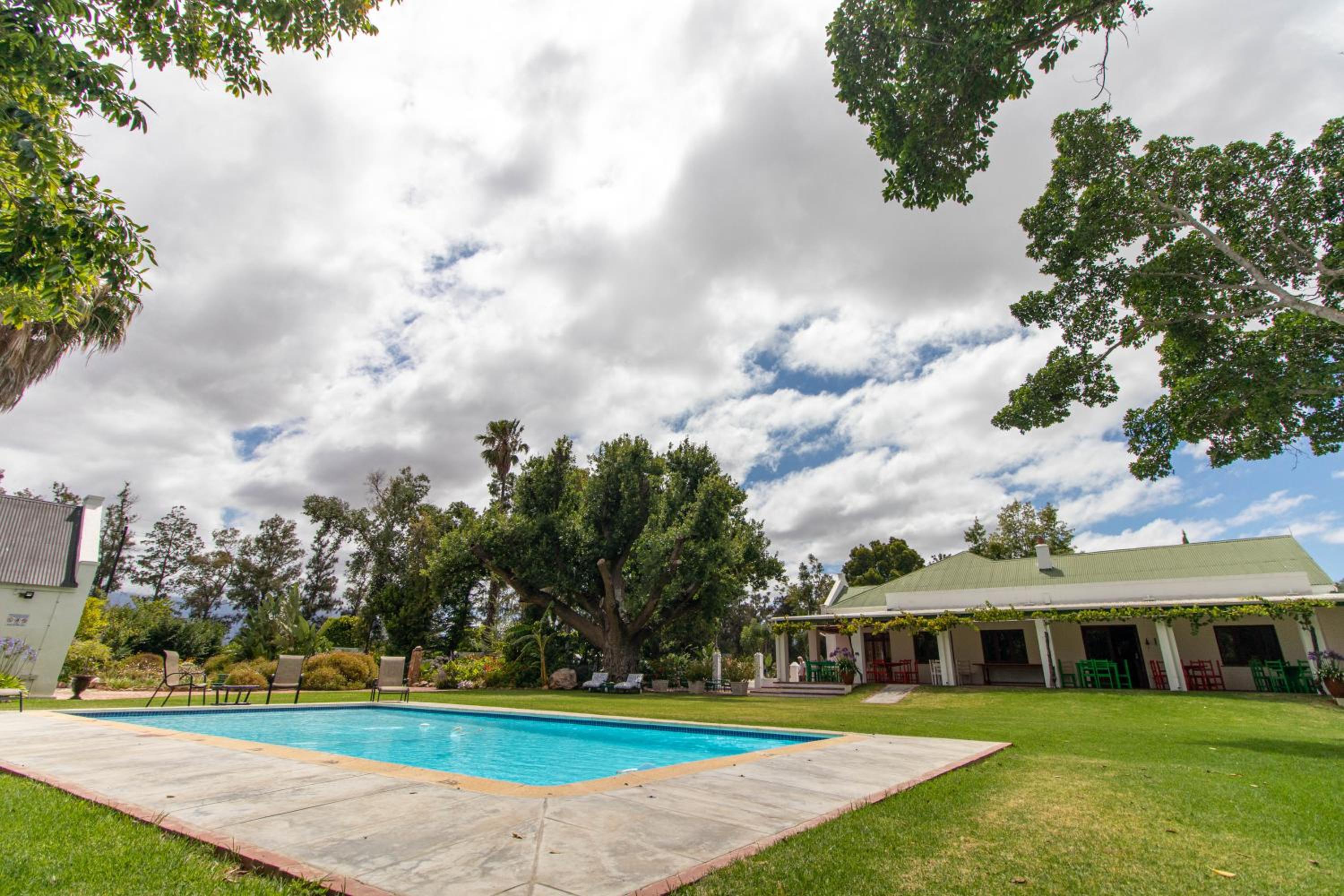 Green Olive Guesthouse