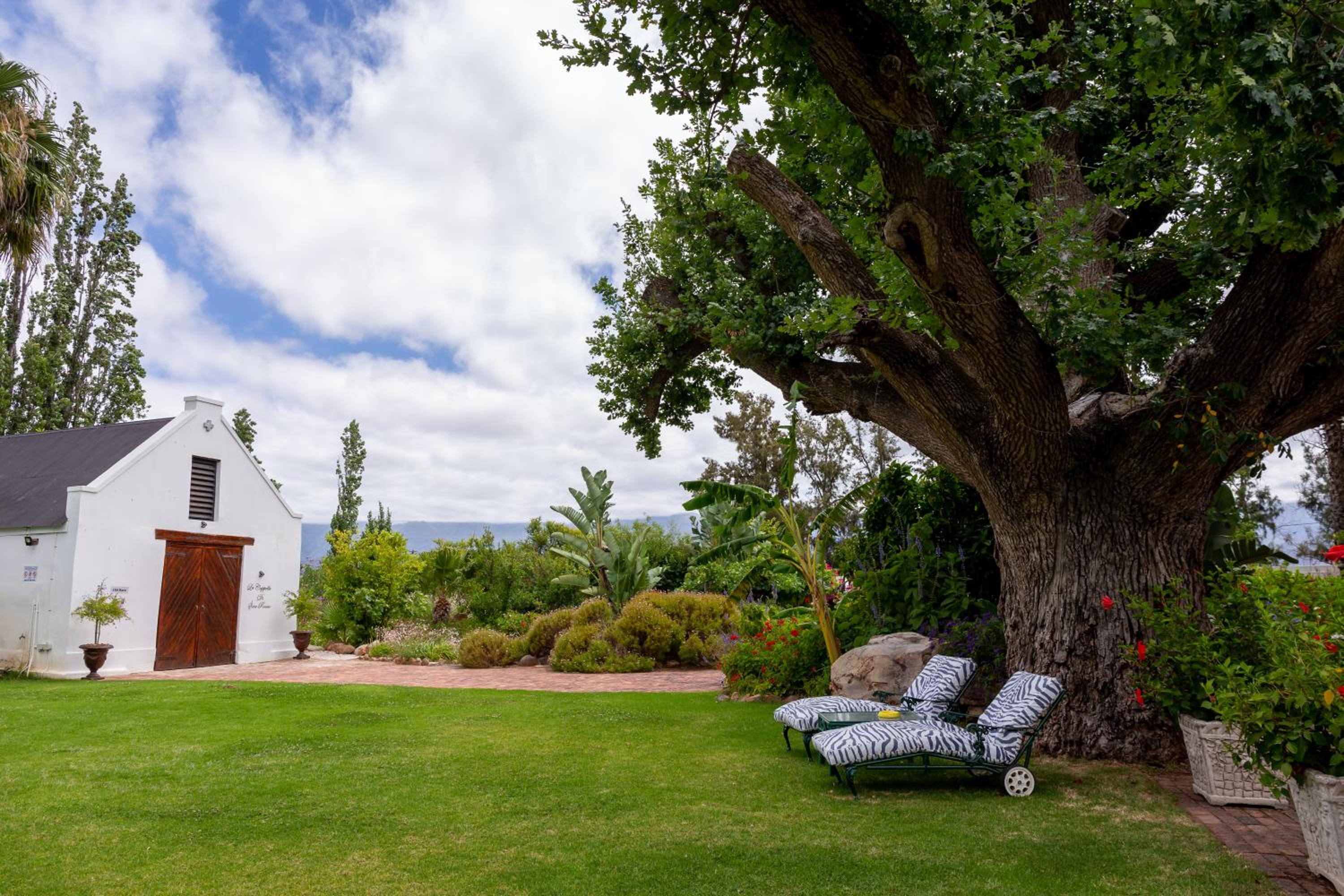 Green Olive Guesthouse