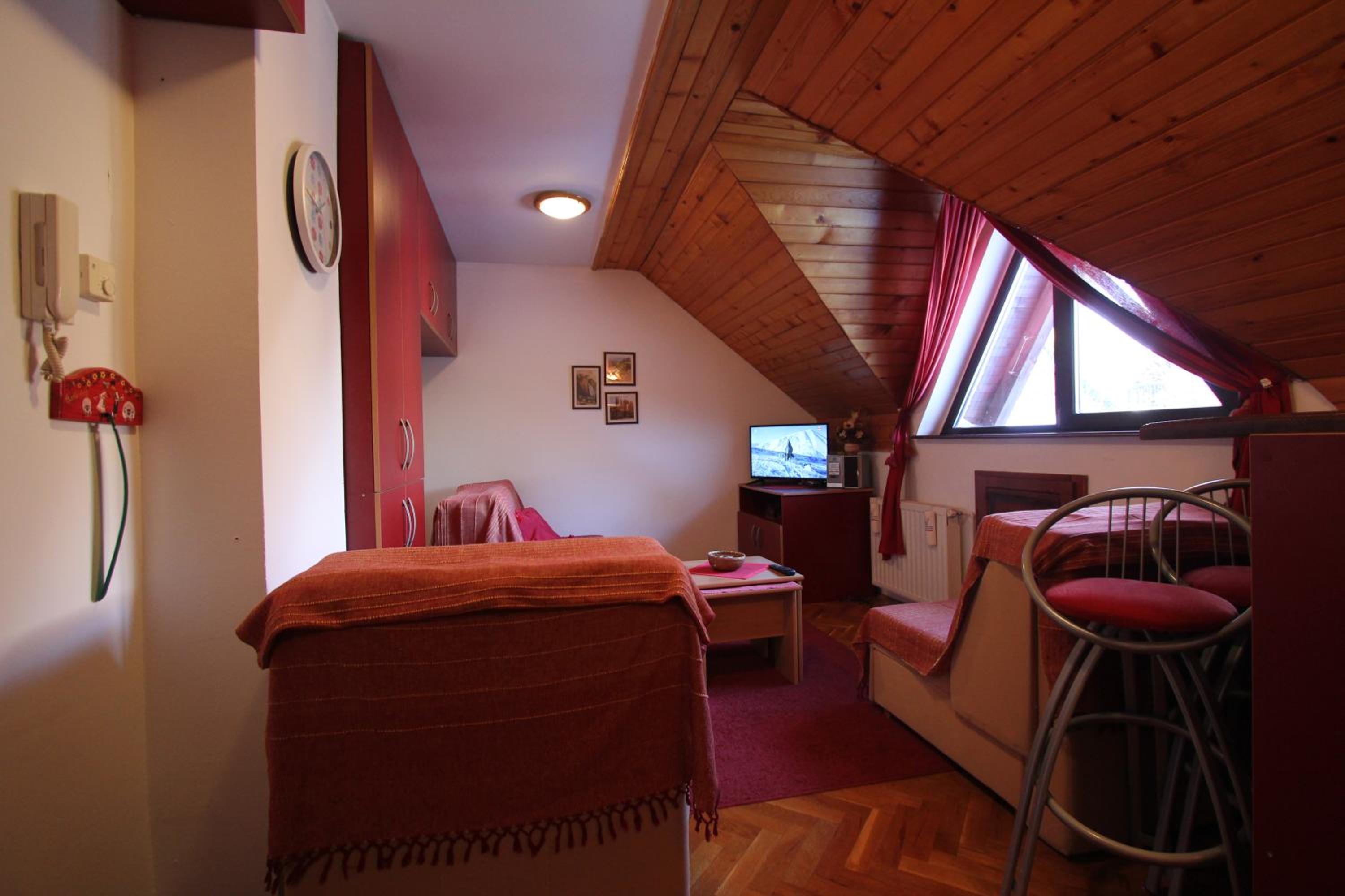 Studio Apartman Aleksandar view 2