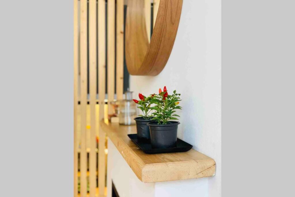 Bright Apartment