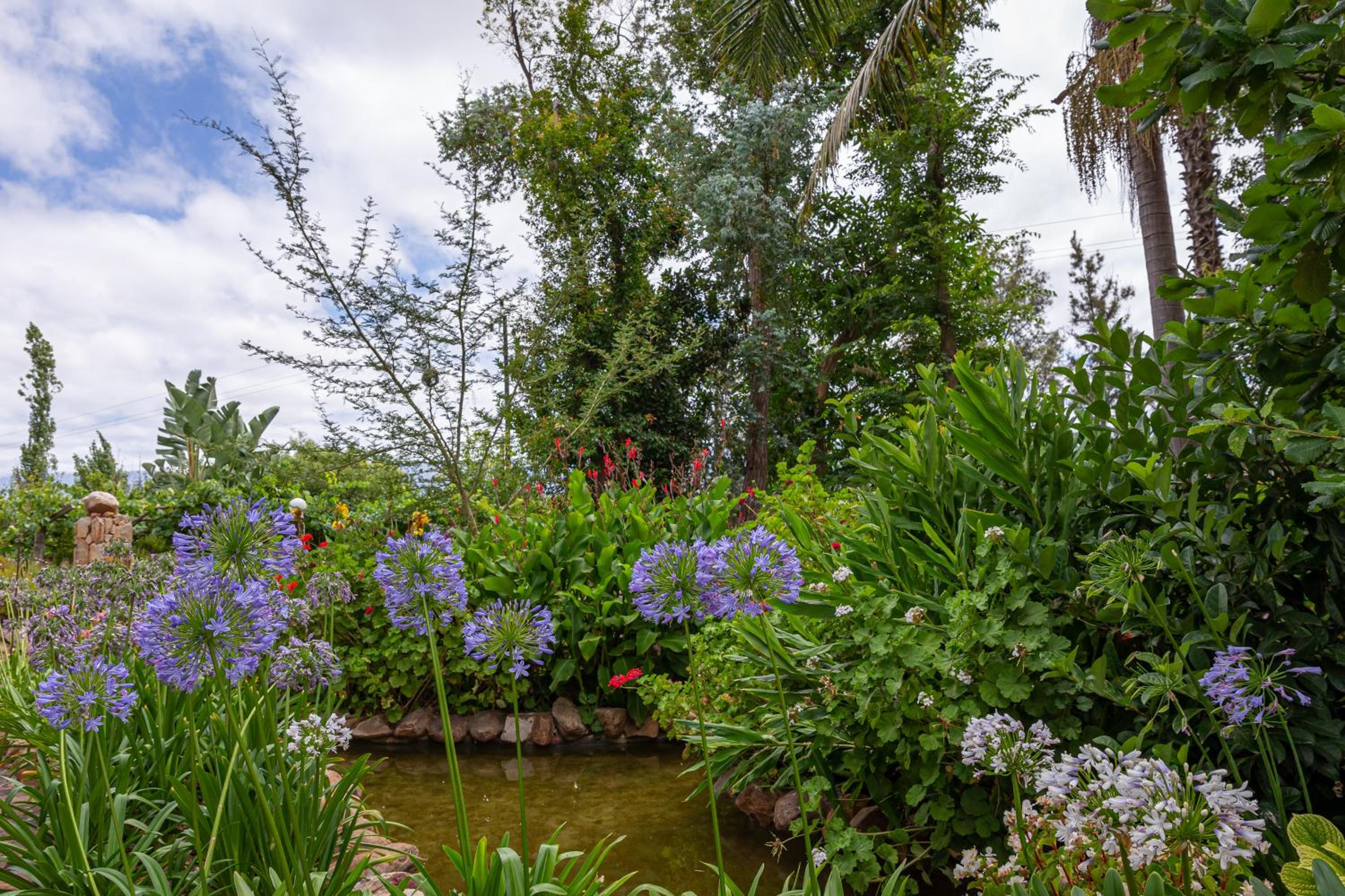 Green Olive Guesthouse