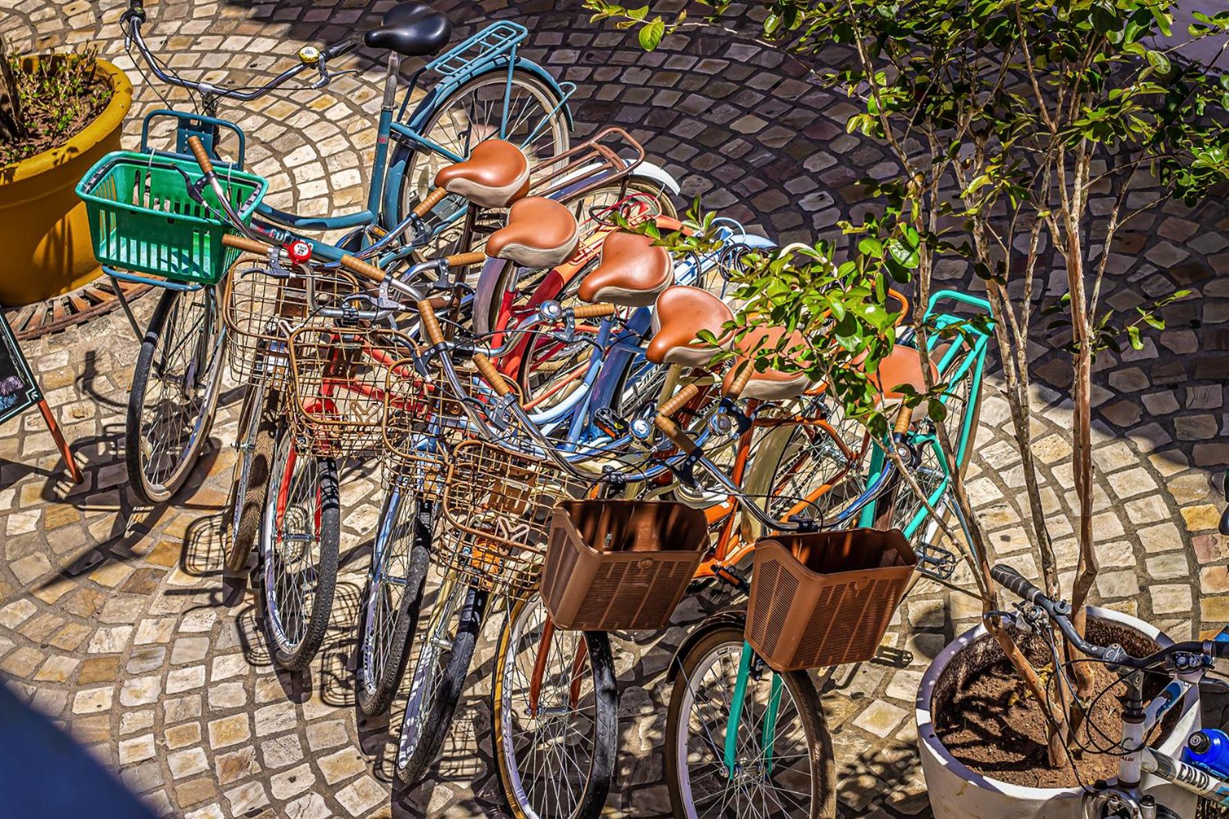 Photo 26